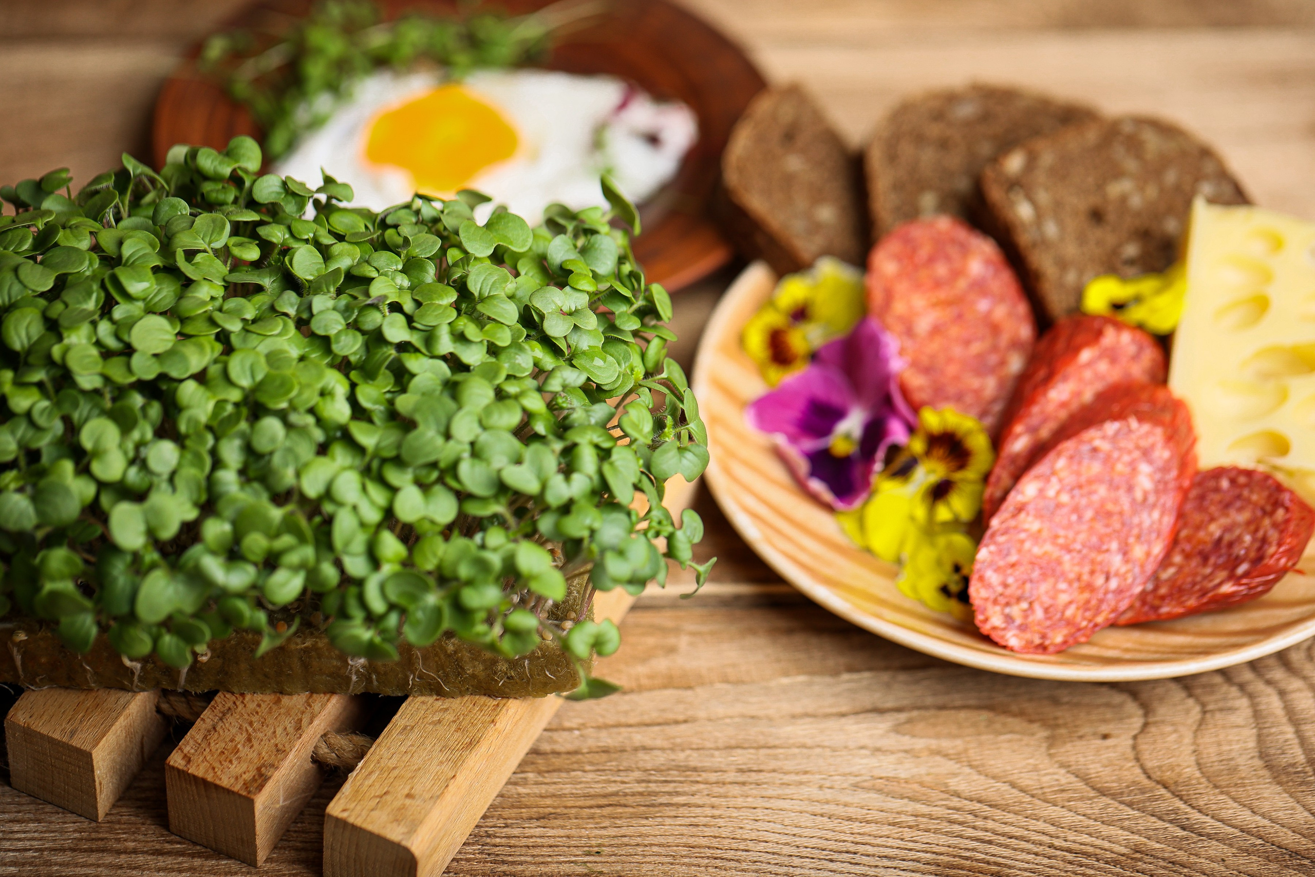 Портфолио. Предметная съемка