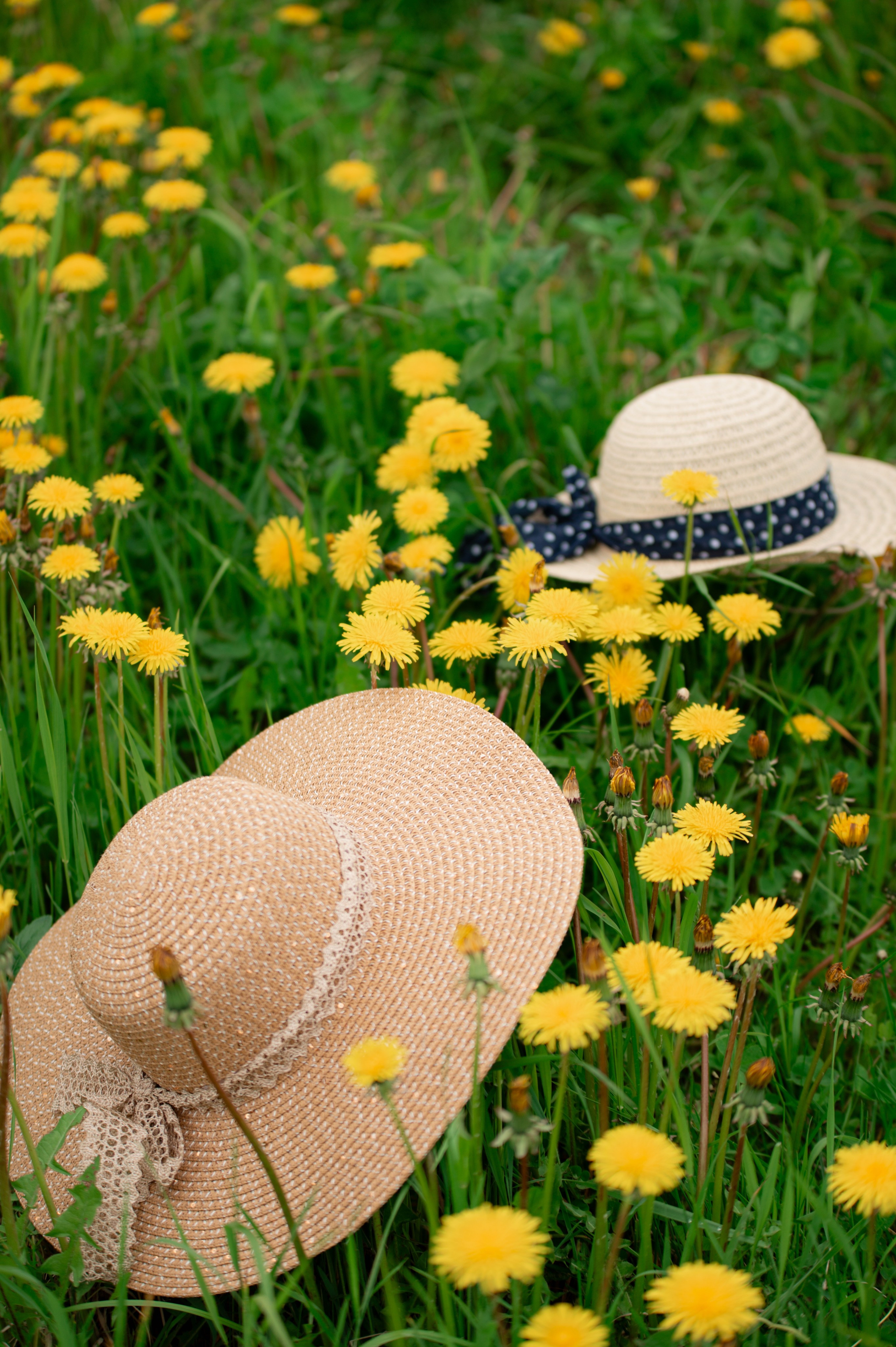 Семейная. Профессиональный фотограф и видеограф в Сортавала Ася Легконогова