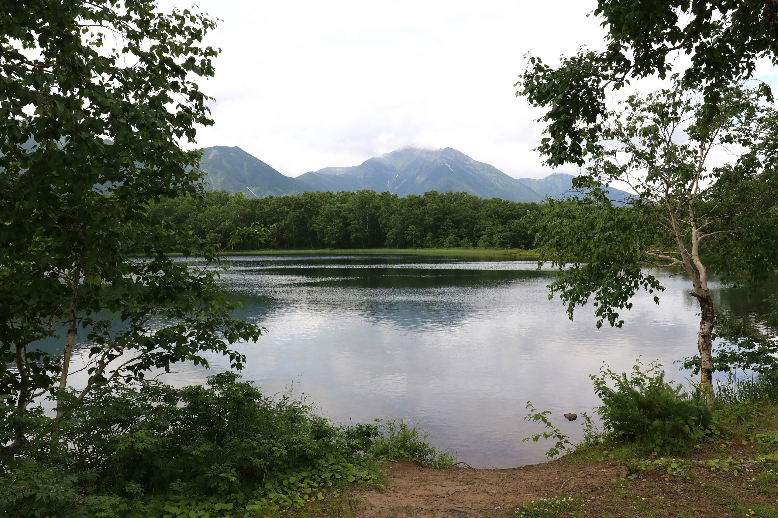 Камчатка и о. Парамушир. Июль 2024. Путешественник-фотограф из Санкт-Петербурга Татьяна Свистулина