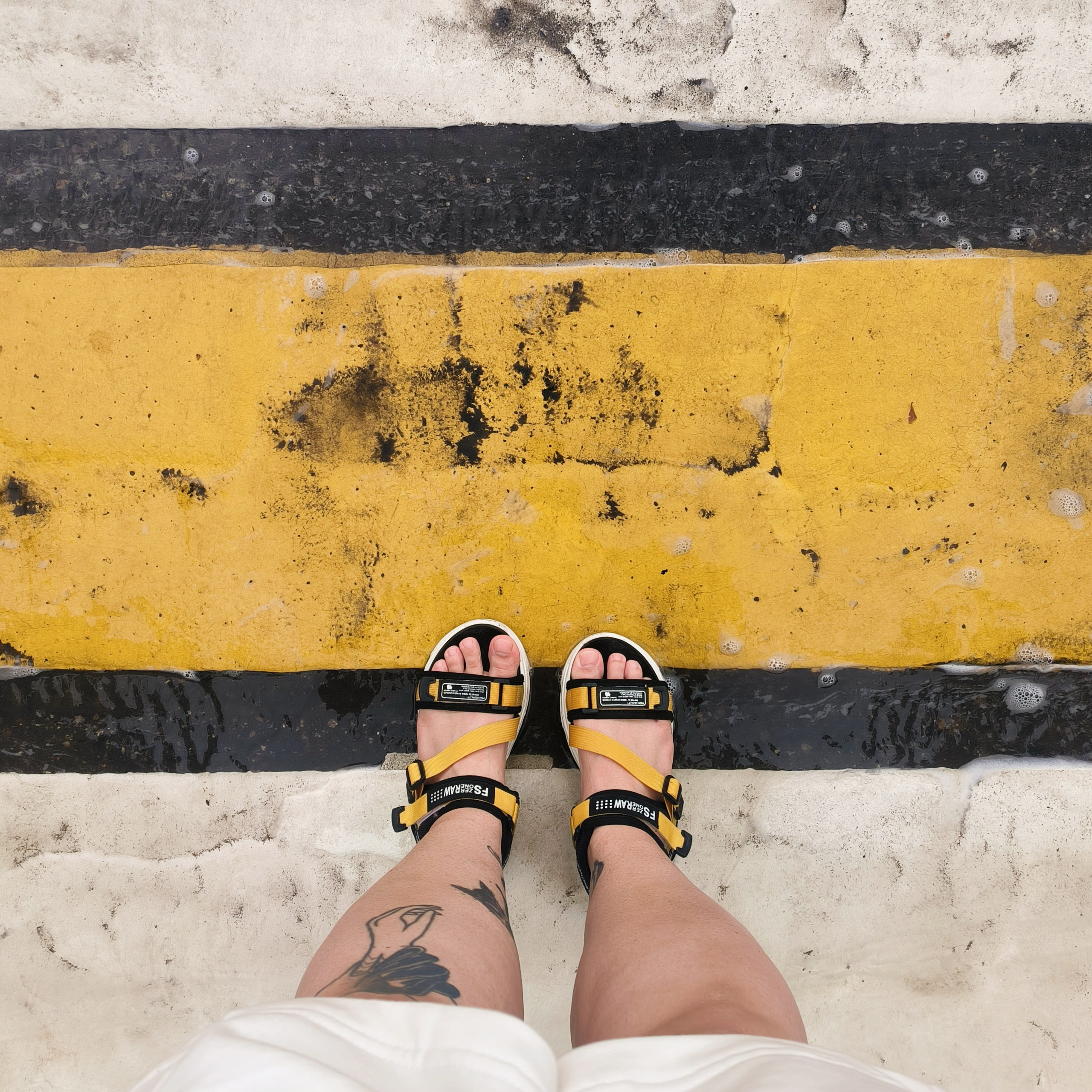 Автор: Ксения Каминская