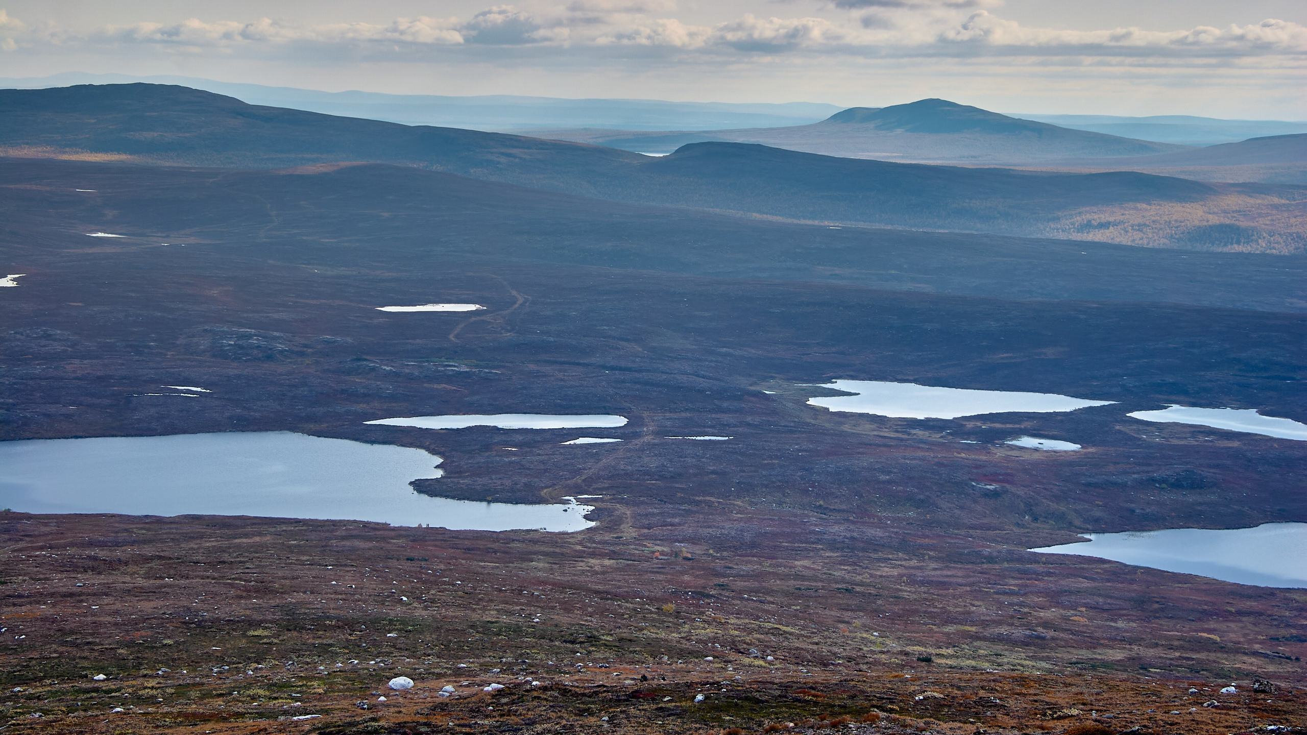 Тундра Лес и Сопки. Пейзажи Крайнего Севера. Баренцево море, Рыбачий, Средний, Немецкий