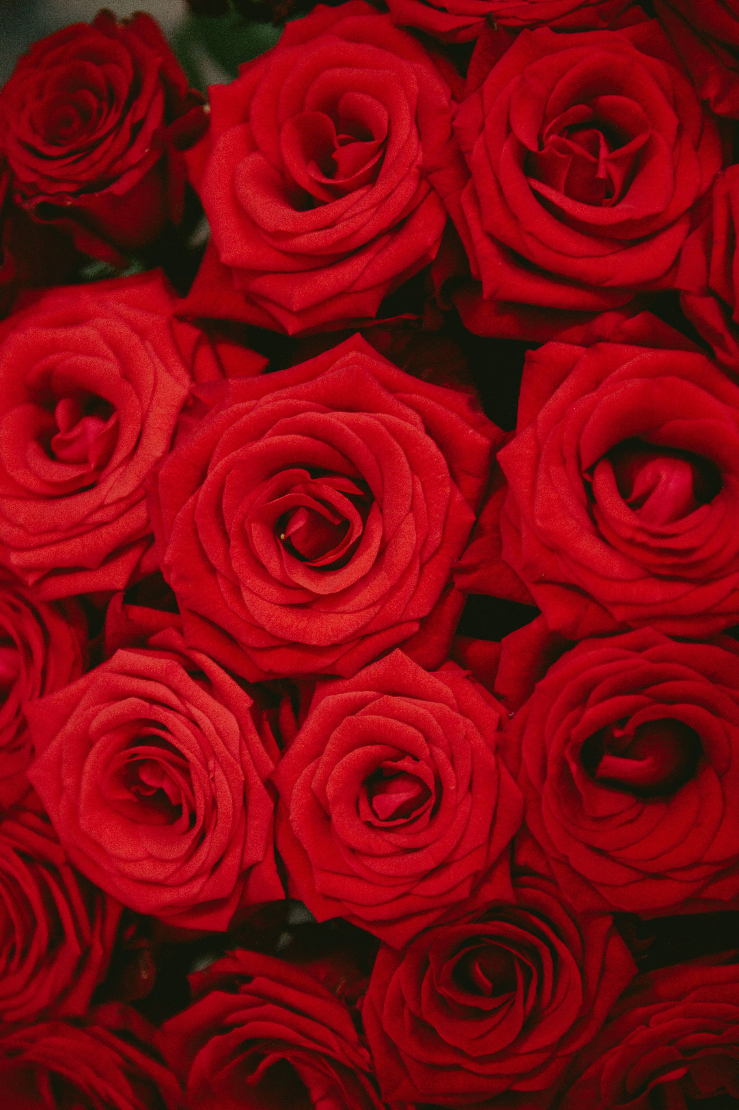 Олег&Елизавета фотограф Елена Горбач. Свадебный и семейный фотограф город Темрюк Фотостудия Темрюк