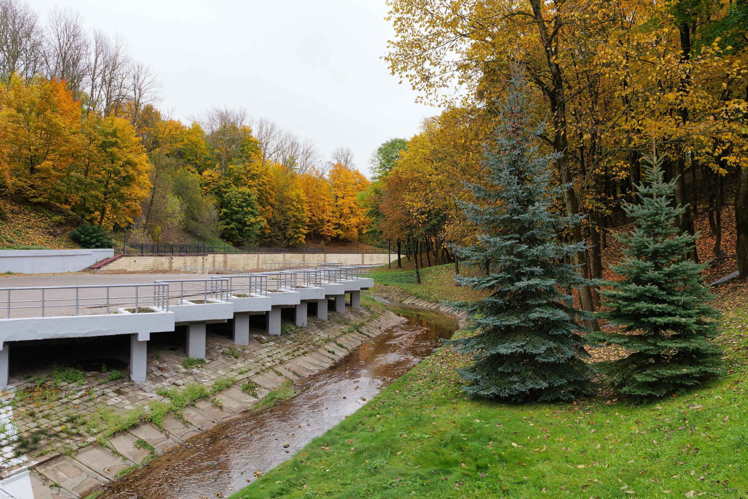 Витебск. Октябрь 2024. Фотограф Никифоров-Гордеев Сергей. Москва и МО