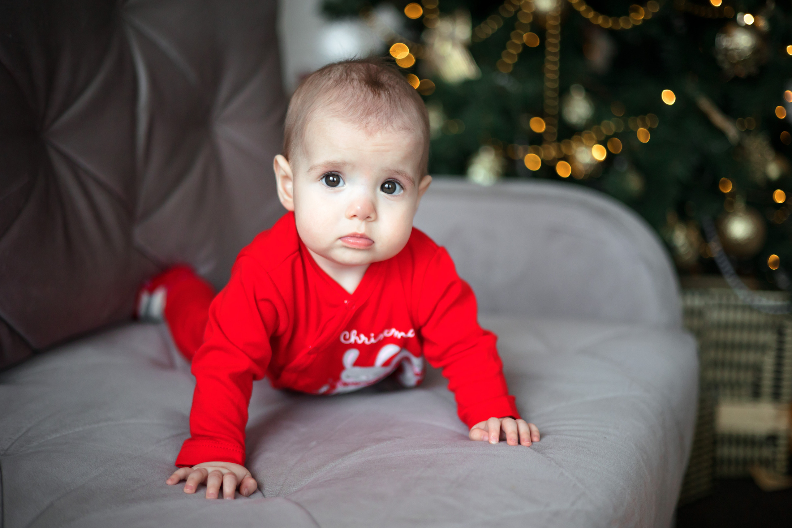 C9Studio. Свадебный и репортажный фотограф (Москва, Королев и другие)