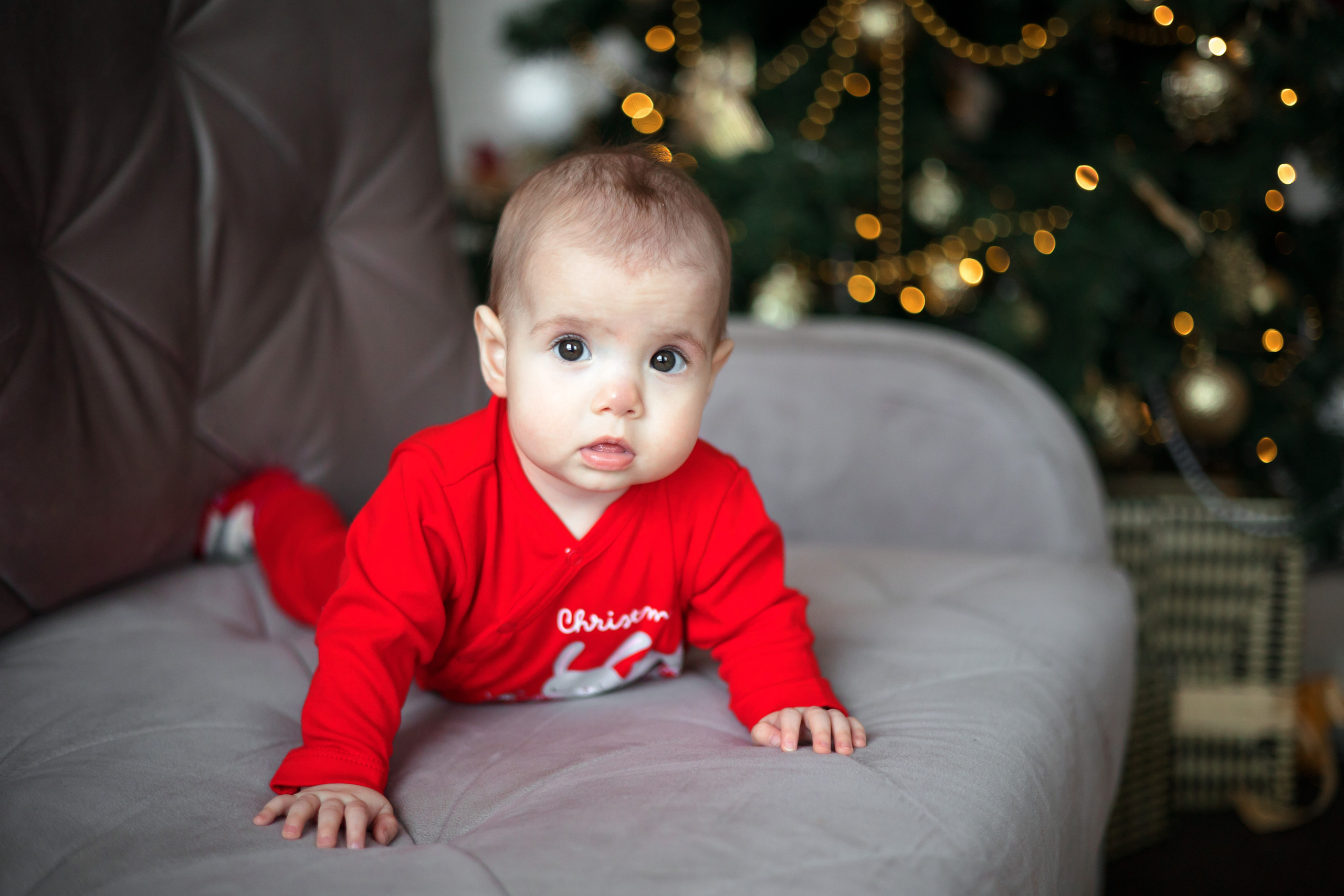 C9Studio. Свадебный и репортажный фотограф (Москва, Королев и другие)