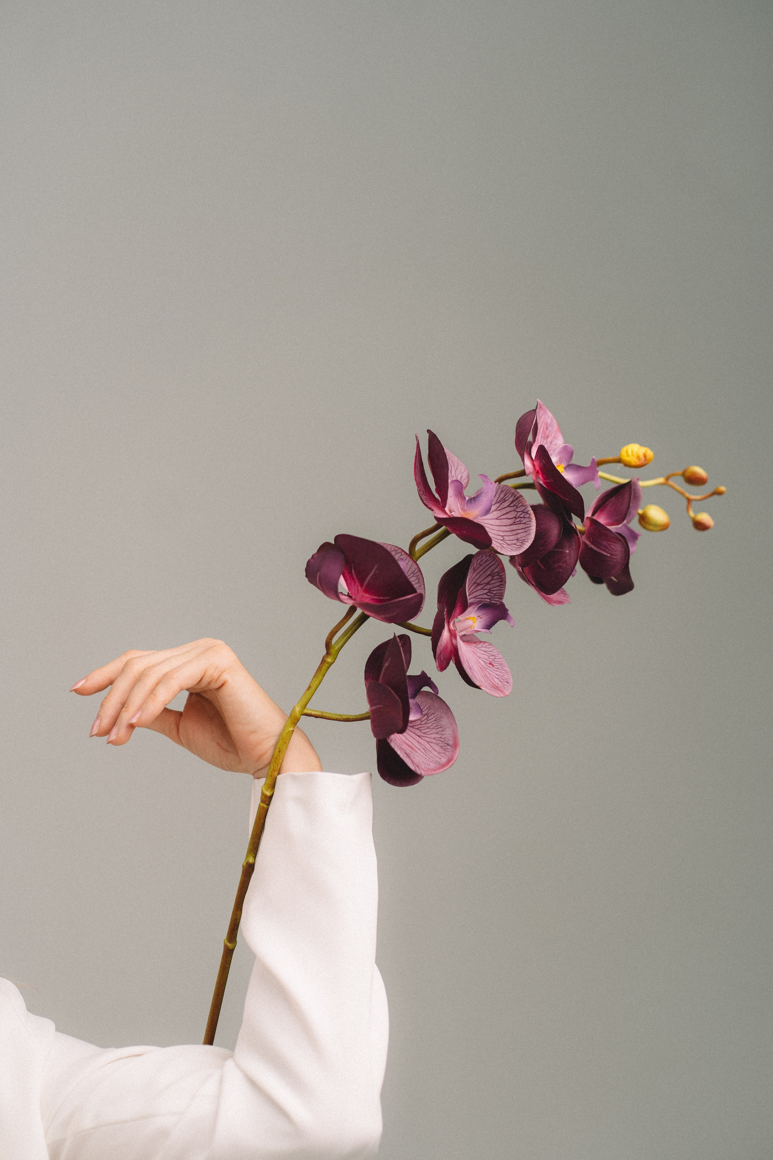 запястье и цветок; орхидея и девушка; индивидуальная фотосессия в анапе; женский портрет; фотограф в анапе; фотосессия анапа; анна муратова фотограф анапа
