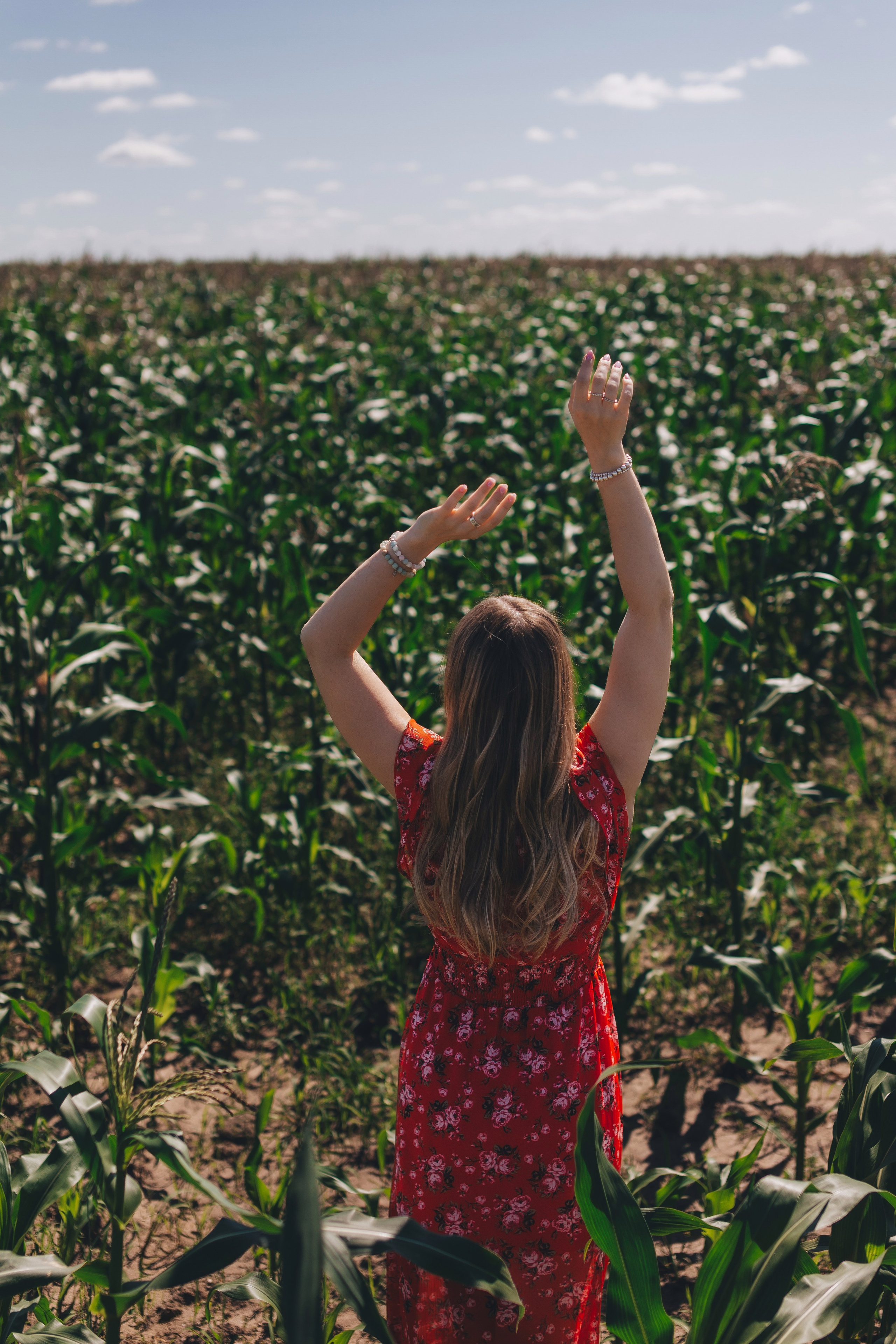 Кукуруза. Семейный и художественный фотограф в Тюмени Юлия Логинова