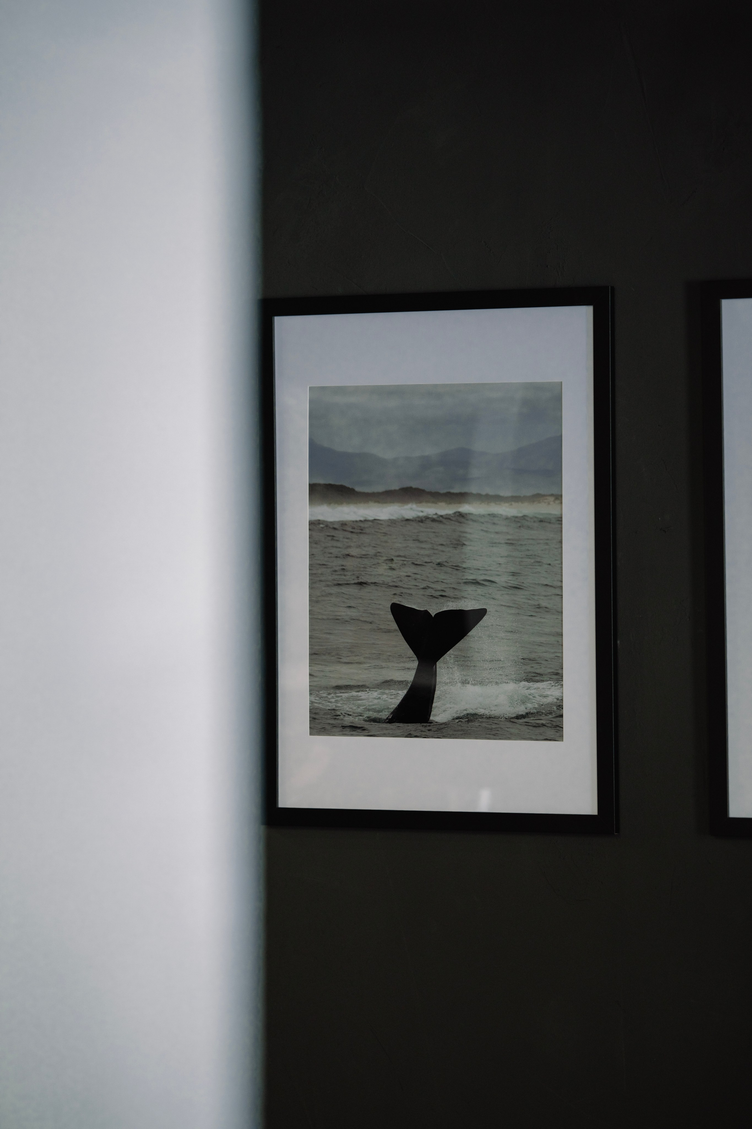 Street photo. Фотограф в Казани, и Зеленодольске Радик Мухаметов