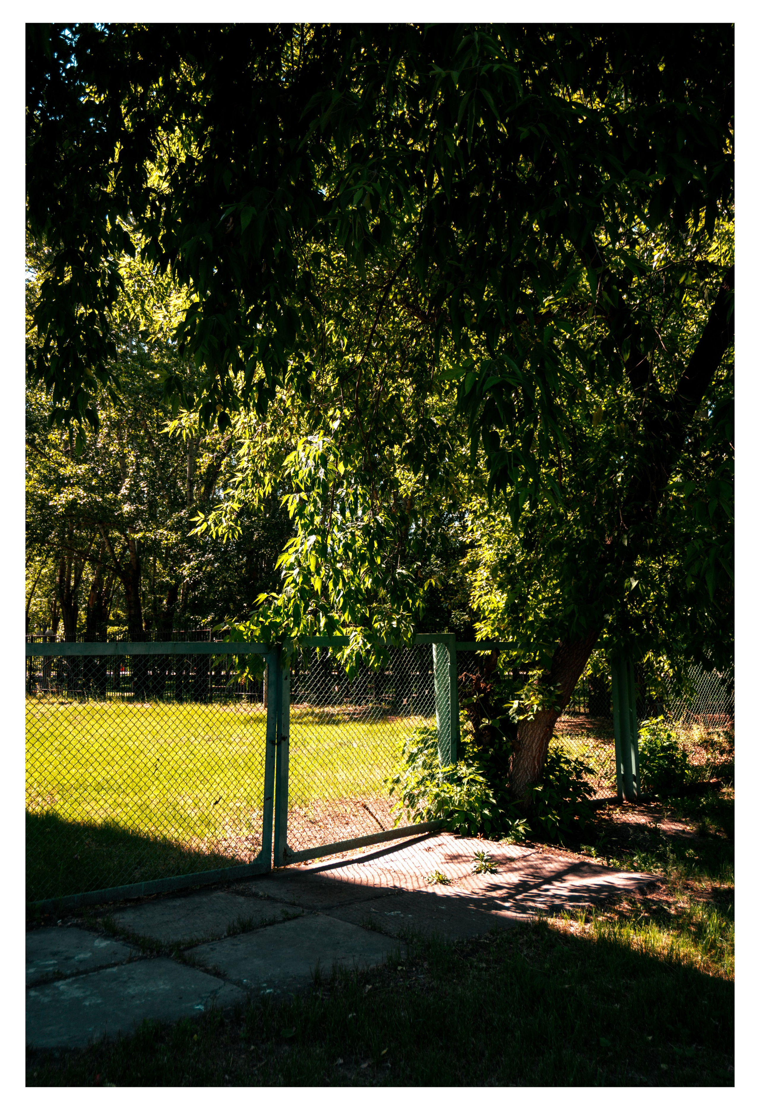 05.06.2025 | Красноярск. Kuznetsov | Фотограф в Красноярске