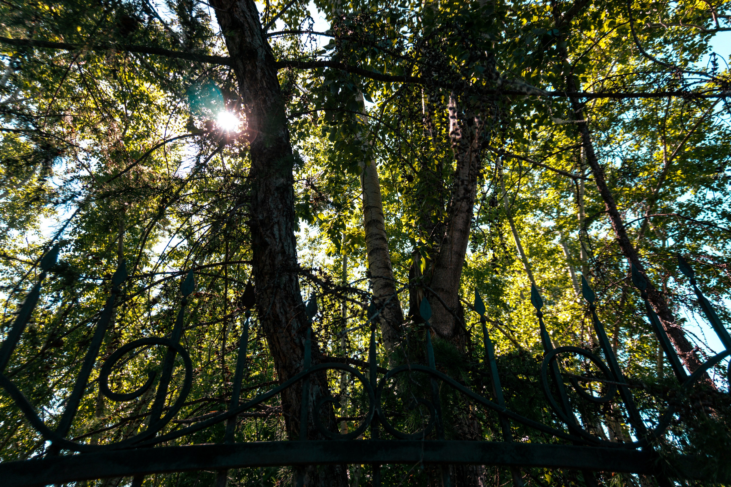 05.06.2025 | Красноярск. Kuznetsov | Фотограф в Красноярске