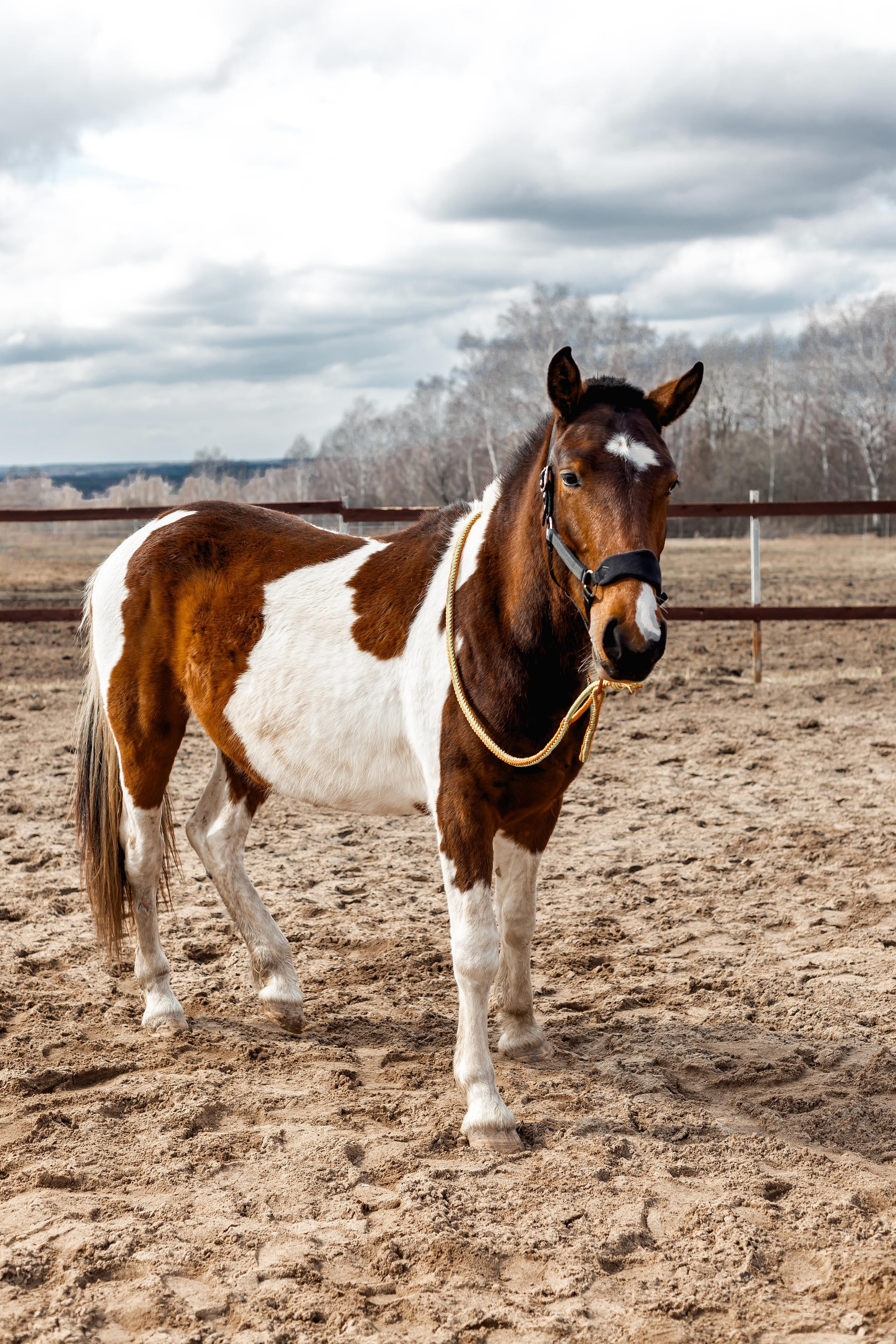Контент фотосессия. Семейный и детский фотограф в Москве Юлия Мусаева