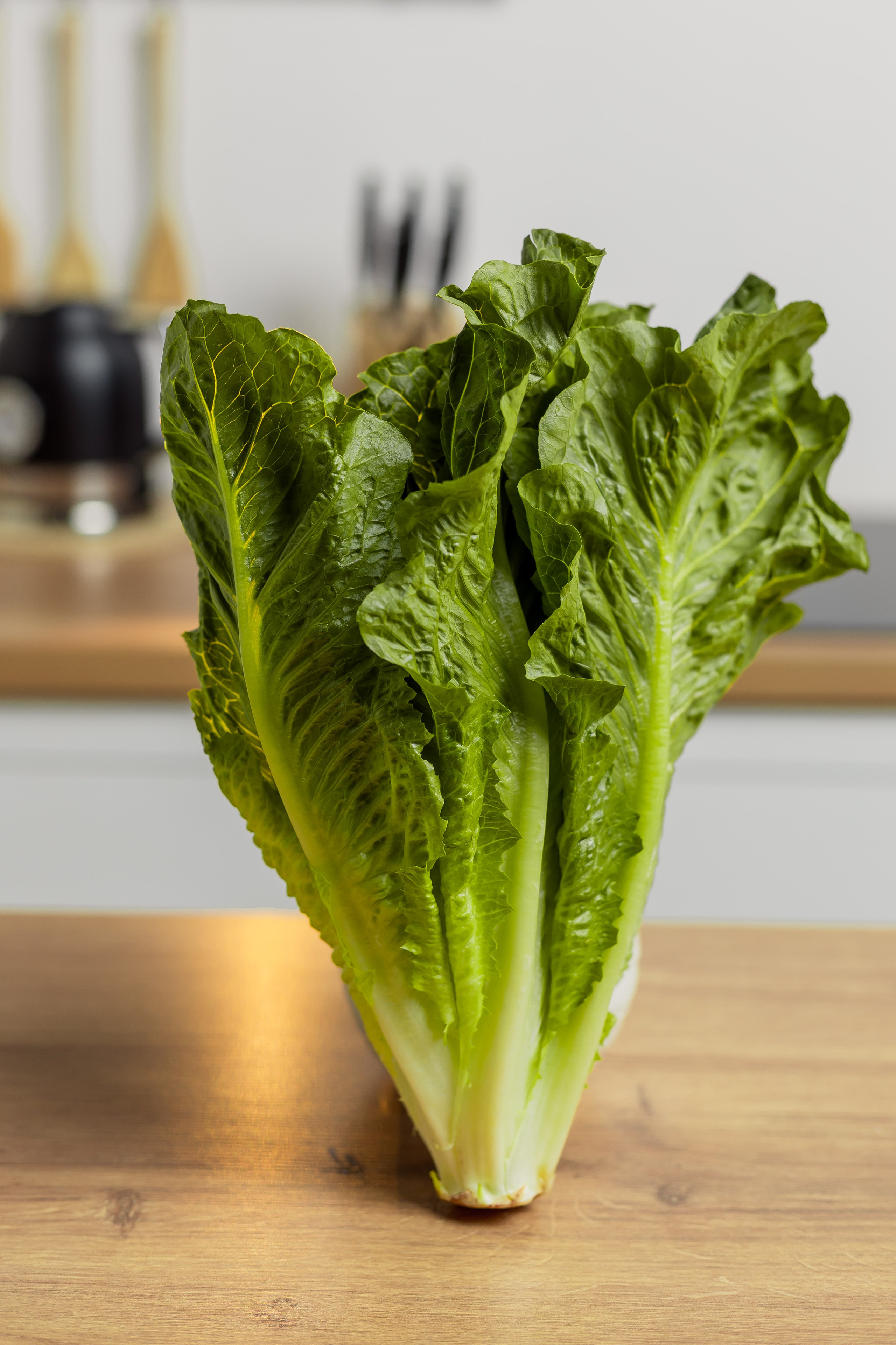 Контент фотосессия. Семейный и детский фотограф в Москве Юлия Мусаева