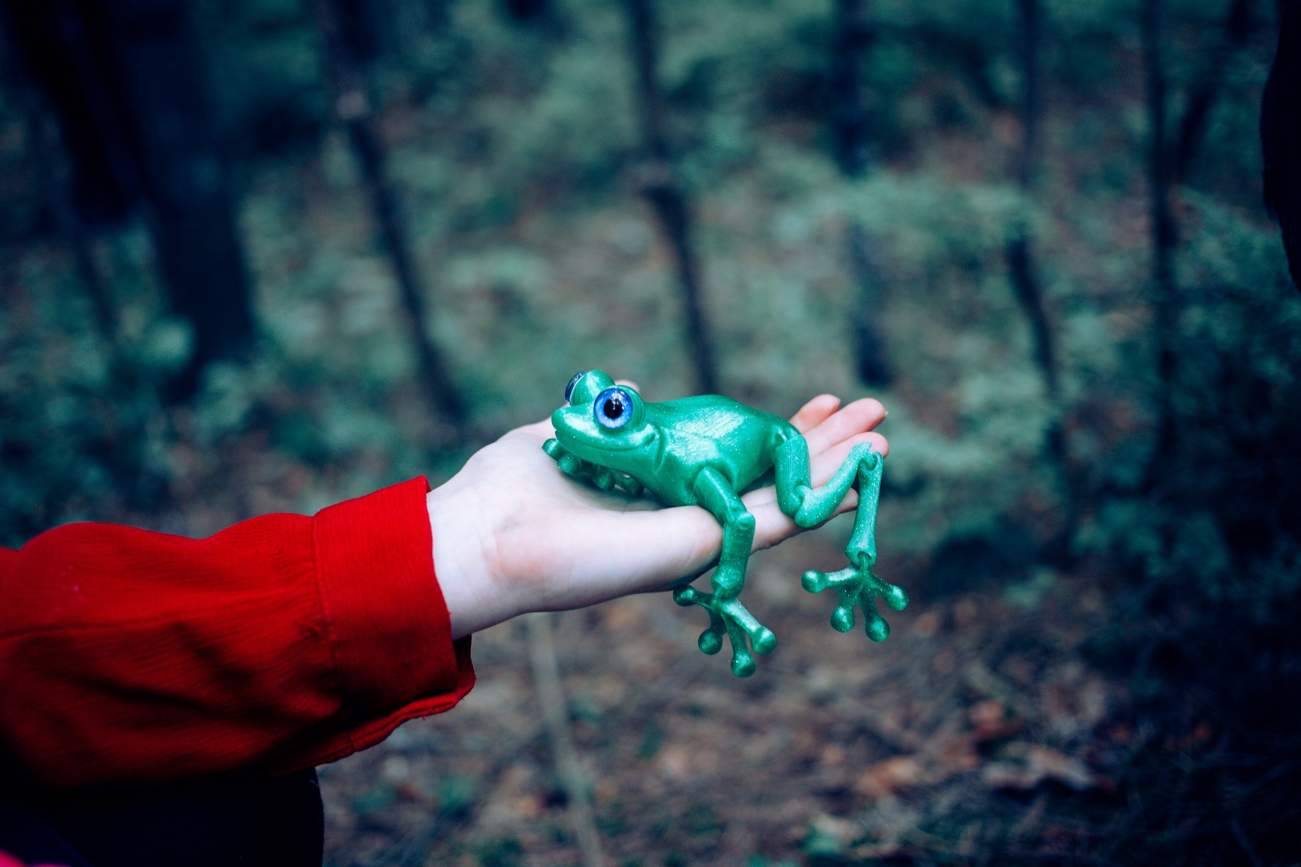 Запретный лес. Репортажный фотограф Анастасия Головко
