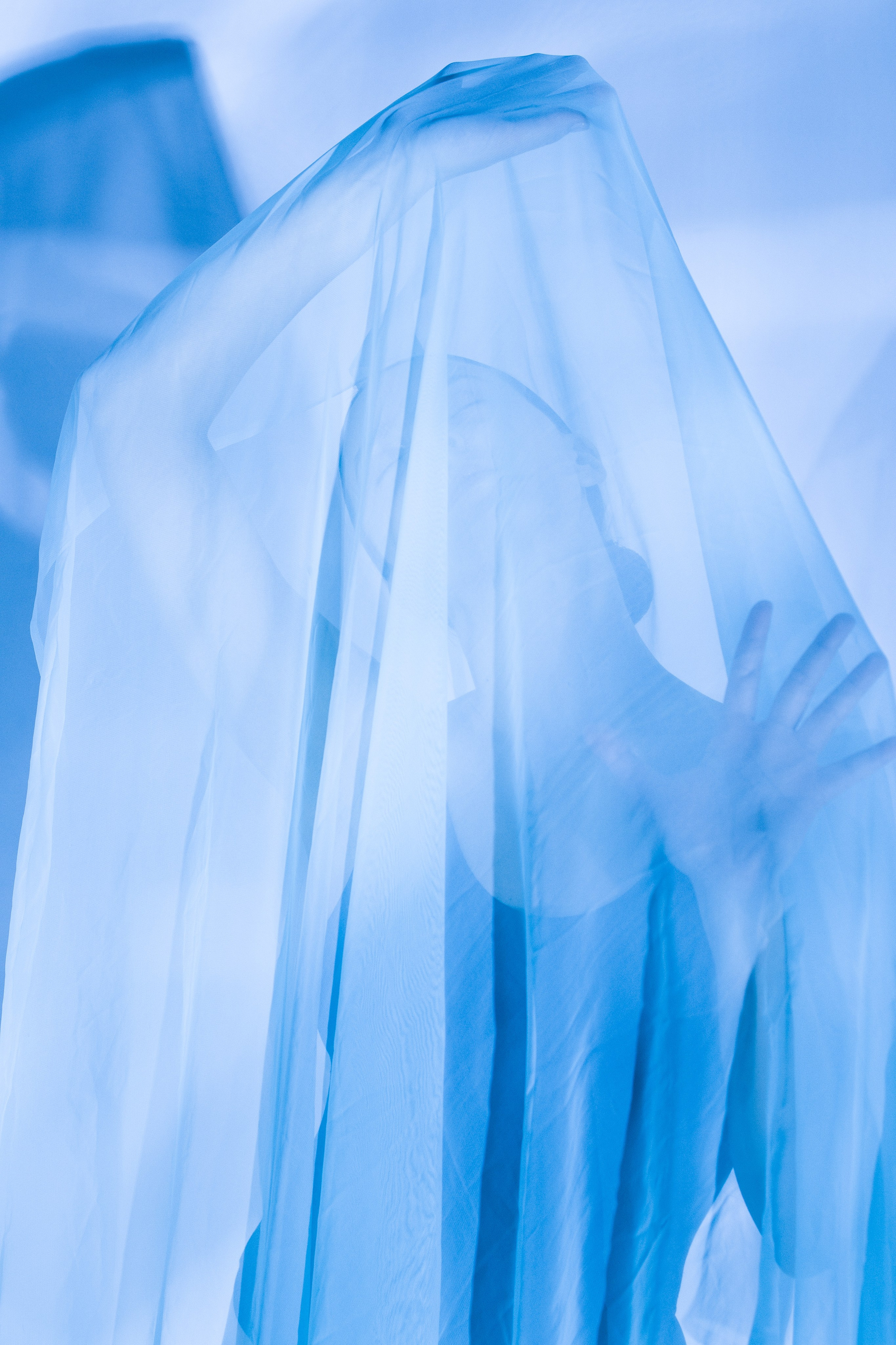 Лилия. Художественная фотография