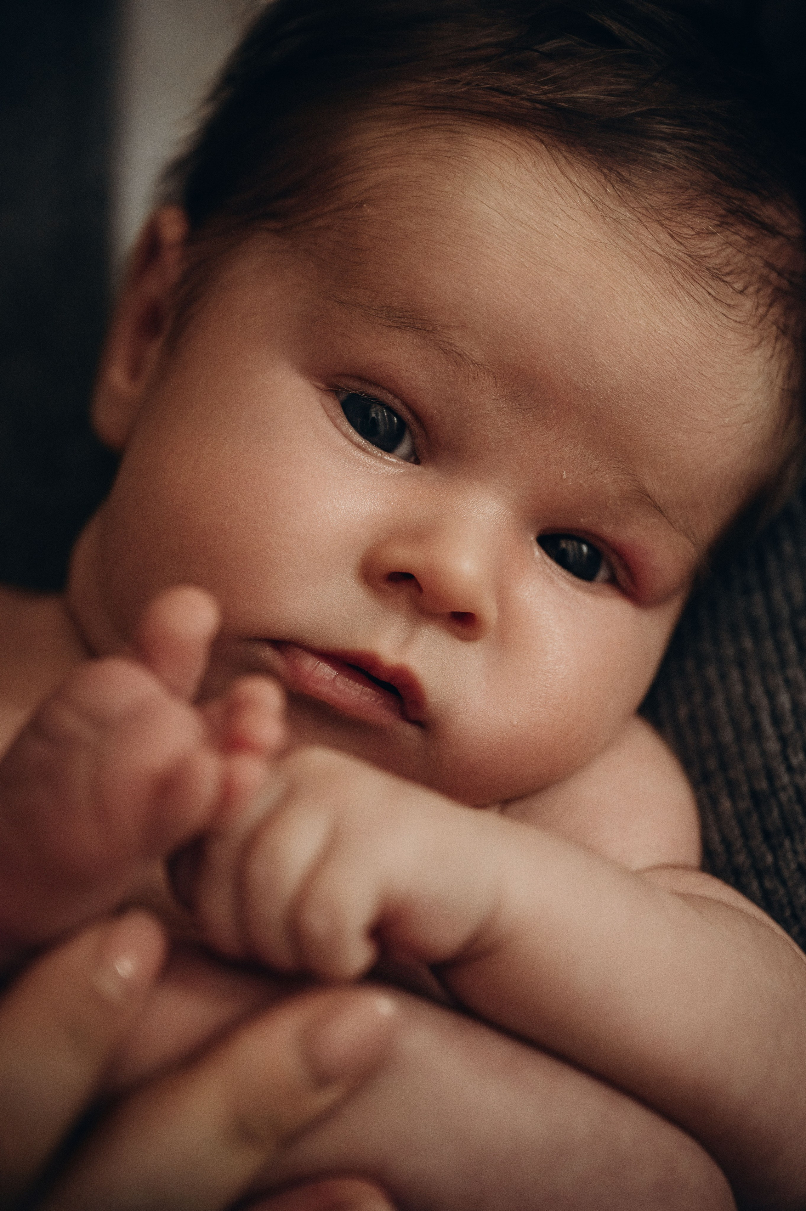 Анна, Вячеслав и Евгений. Фотограф беременности и семьи, домашние съемки, Ньюборн