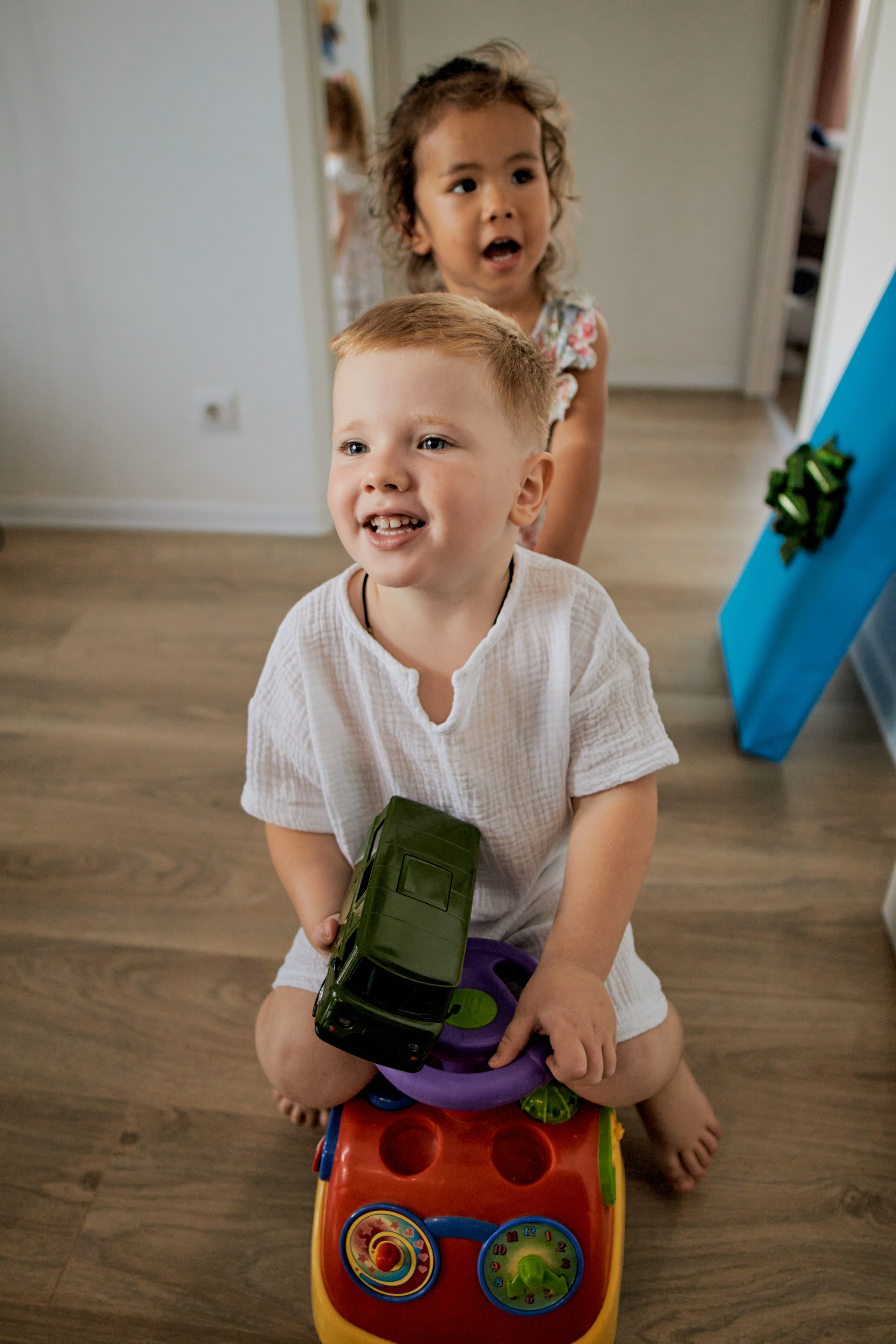 Три кота. Фотограф Москва