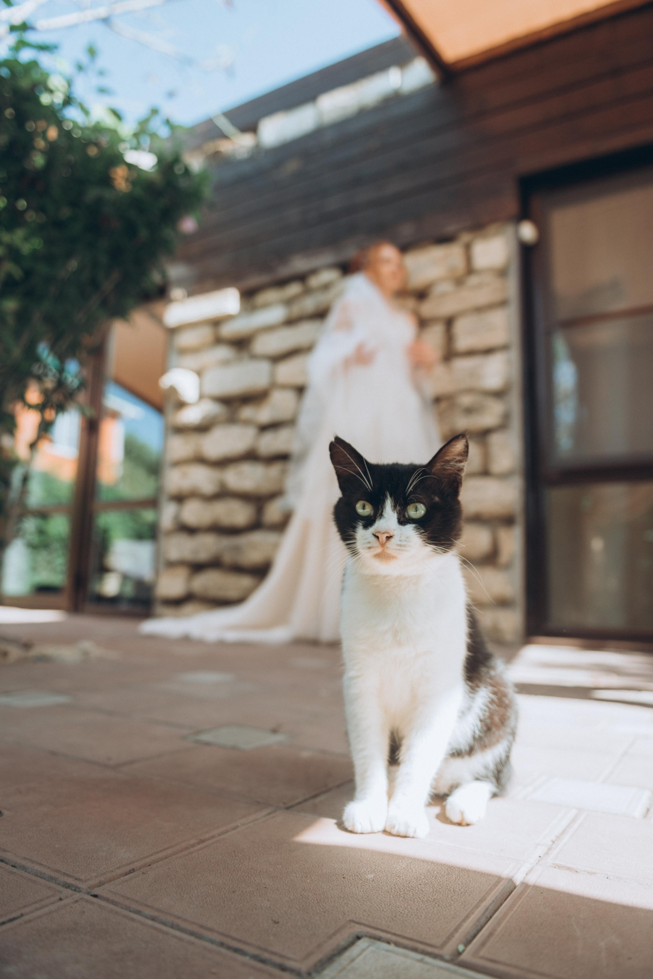 Wedding Aleksander&Svetlana ph Mikhail Gorbach. Свадебный и семейный фотограф город Темрюк Фотостудия Темрюк