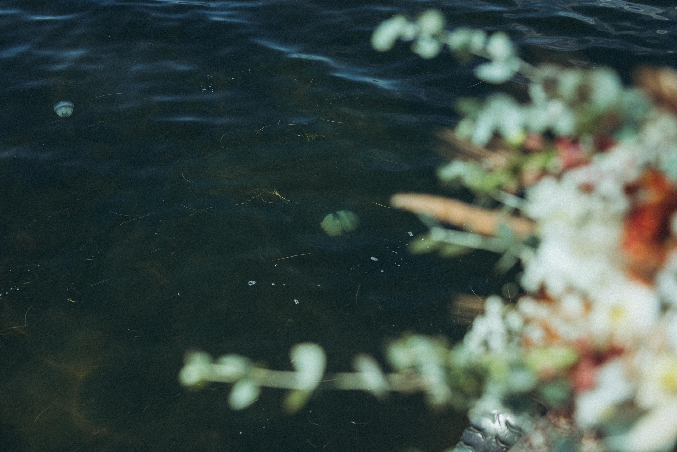 Wedding Valeria&Suleiman ph Mikhail Gorbach. Свадебный и семейный фотограф город Темрюк Фотостудия Темрюк