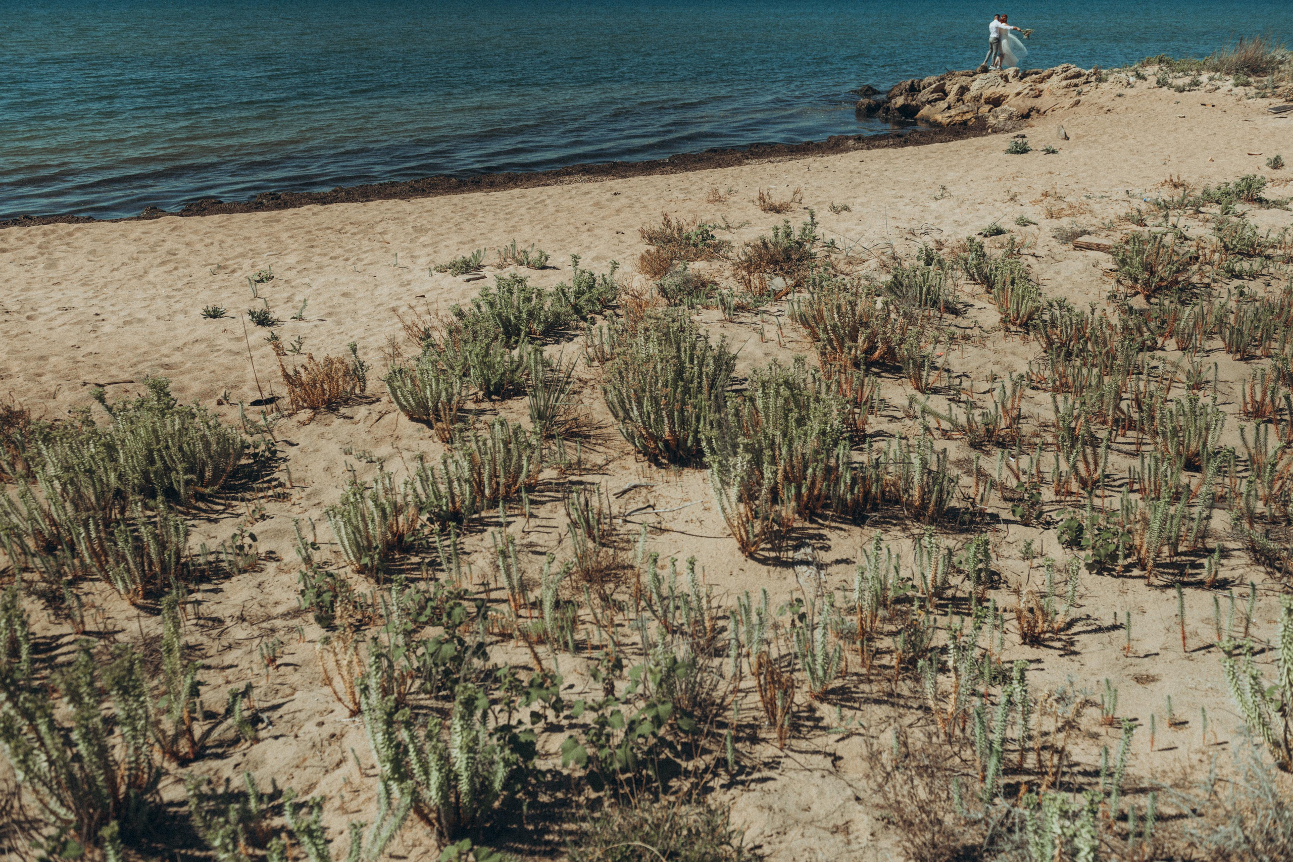 Wedding Valeria&Suleiman ph Mikhail Gorbach. Свадебный и семейный фотограф город Темрюк Фотостудия Темрюк