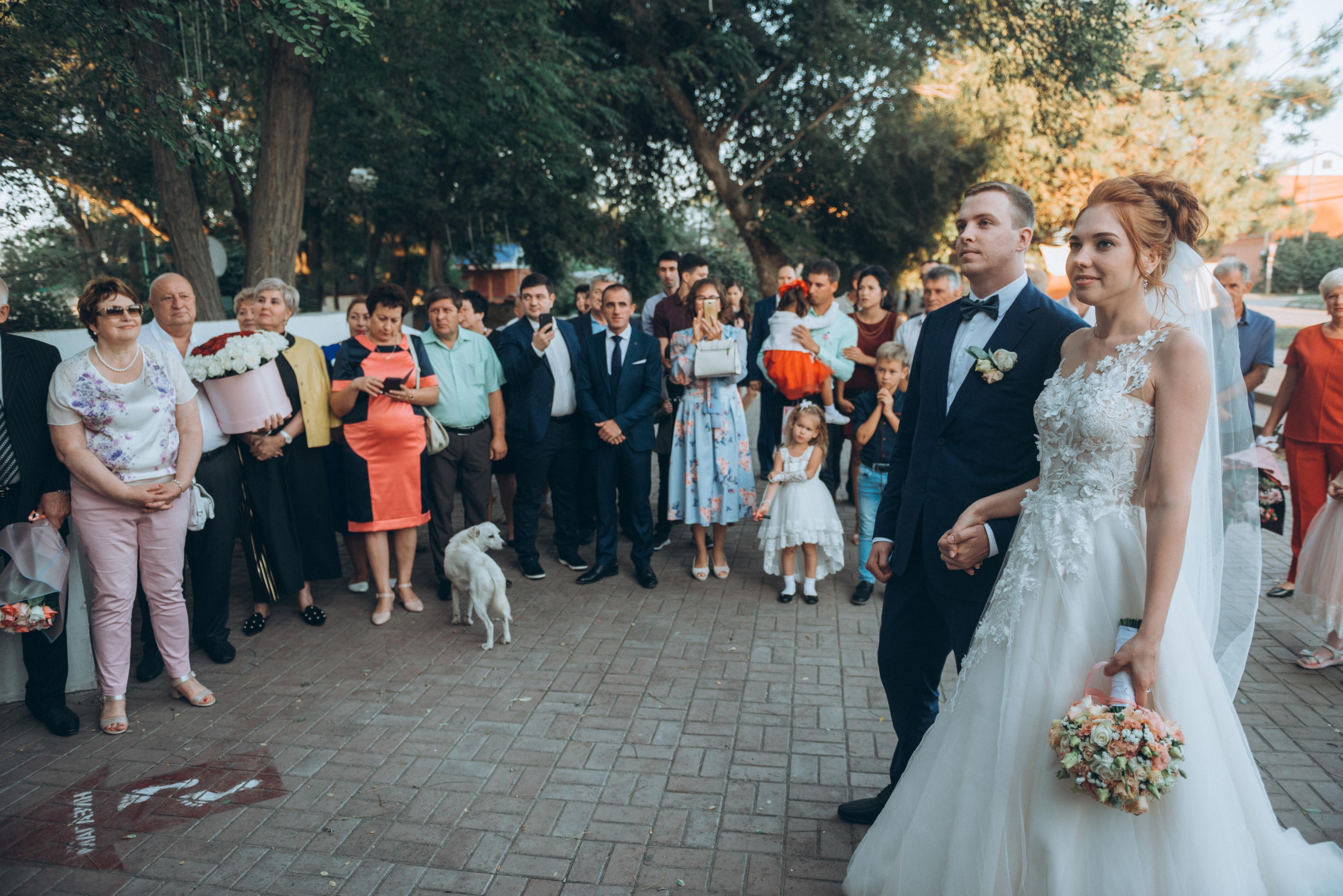Wedding Aleksander&Svetlana ph Mikhail Gorbach. Свадебный и семейный фотограф город Темрюк Фотостудия Темрюк