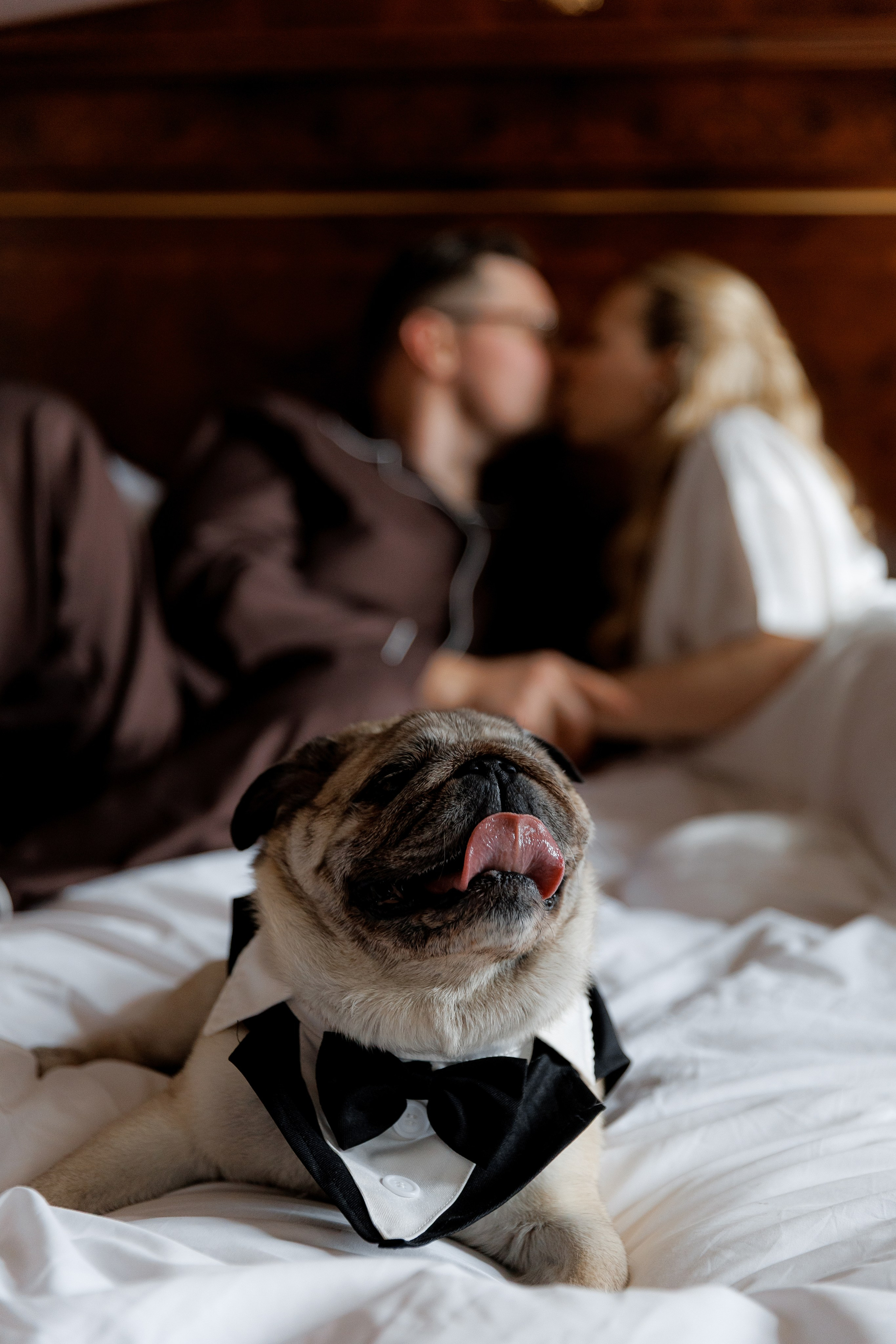 Максим и Наталия. Свадебный фотограф Фадеева Алёна