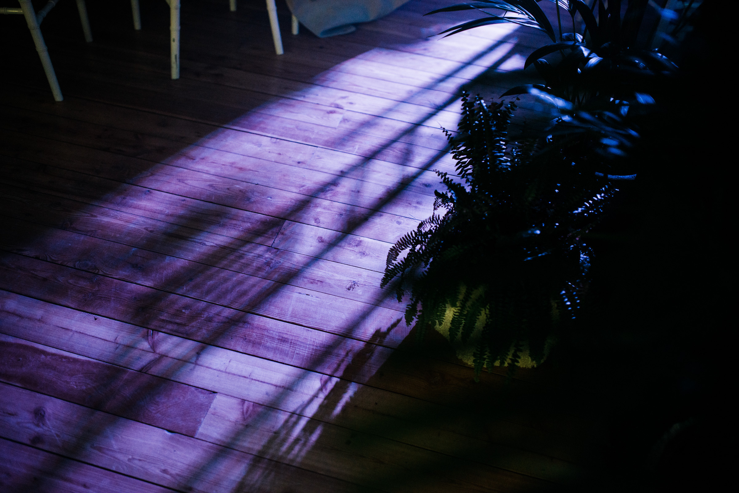 Моёт / Новый год в Гранд Отеле Анапа. Фотограф Алутера Ирина