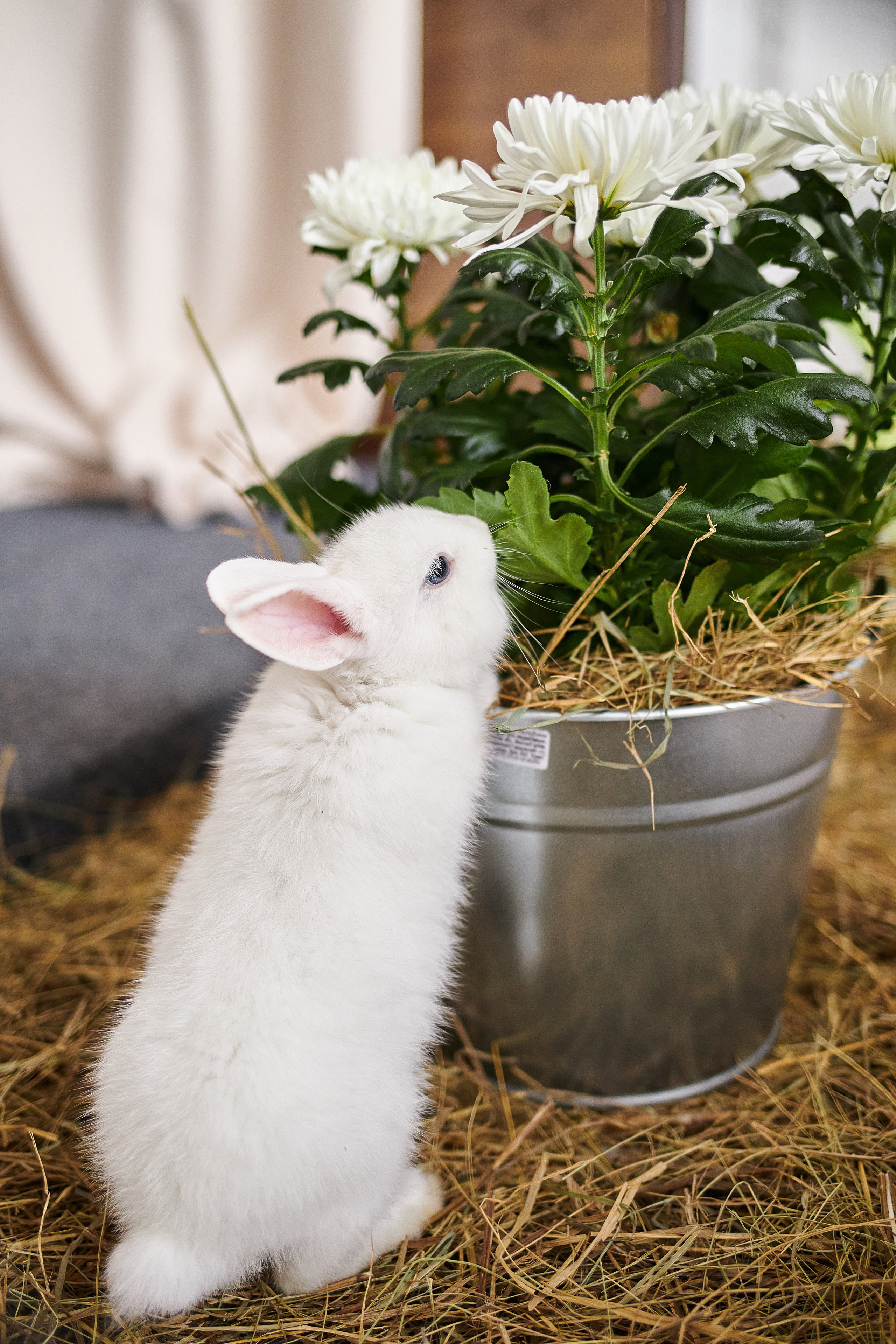 Даша и Паша. Свадебная, репортажная фотосъемка и видеосъемка в Минске. Илья и Юлия Ширмановы. Фотограф | Видеограф | Минск