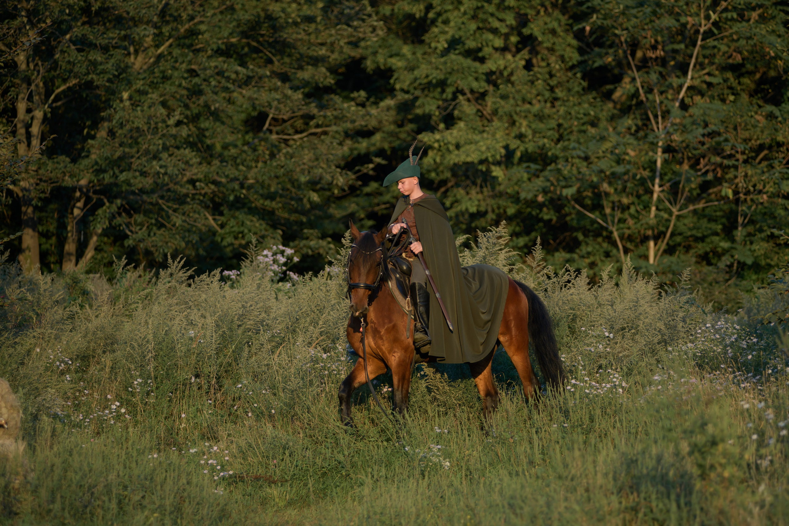 Робин Гуд. Главная