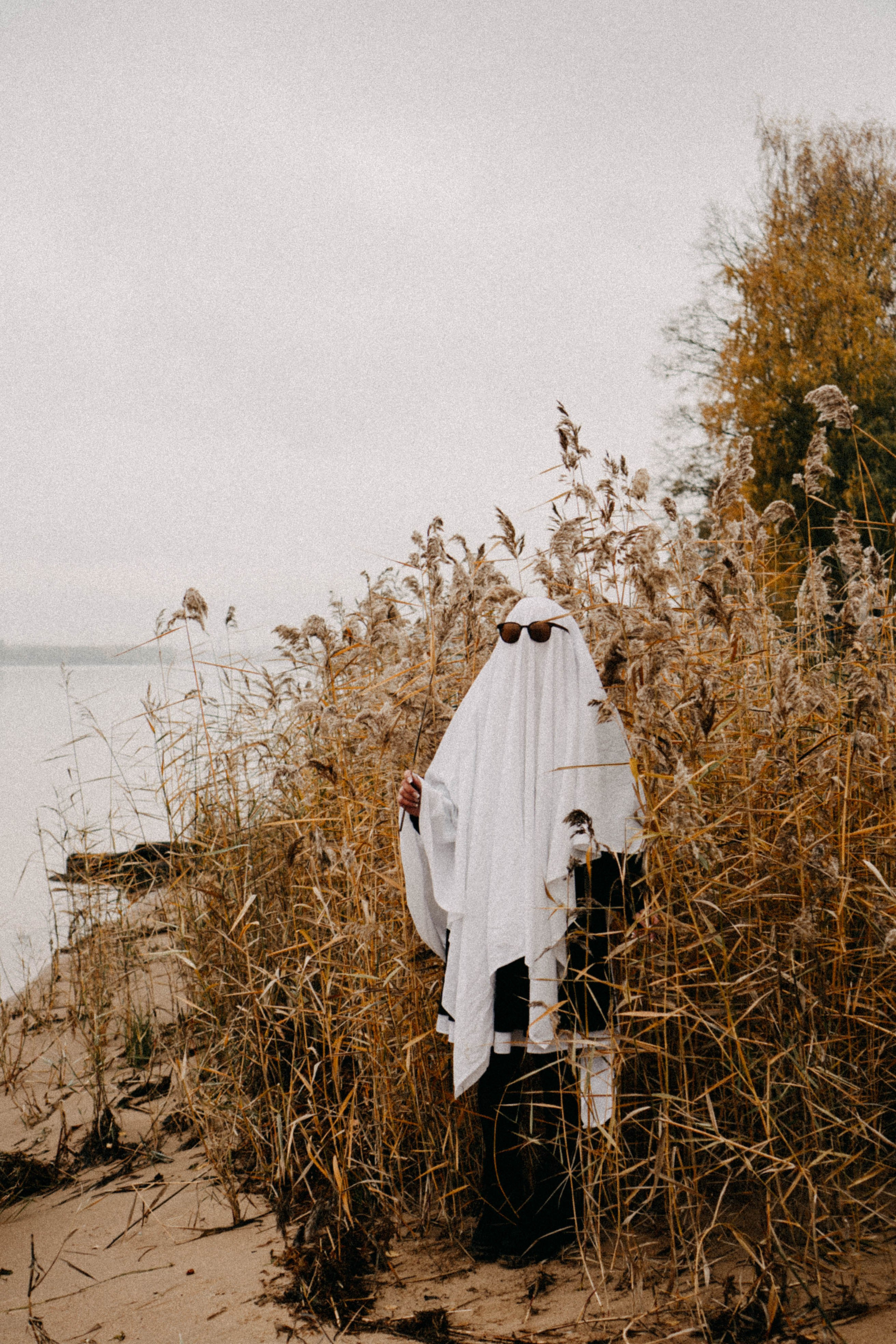 Осеняя. Профессиональный фотограф, Санкт-Петербург — Виктория Богомолова