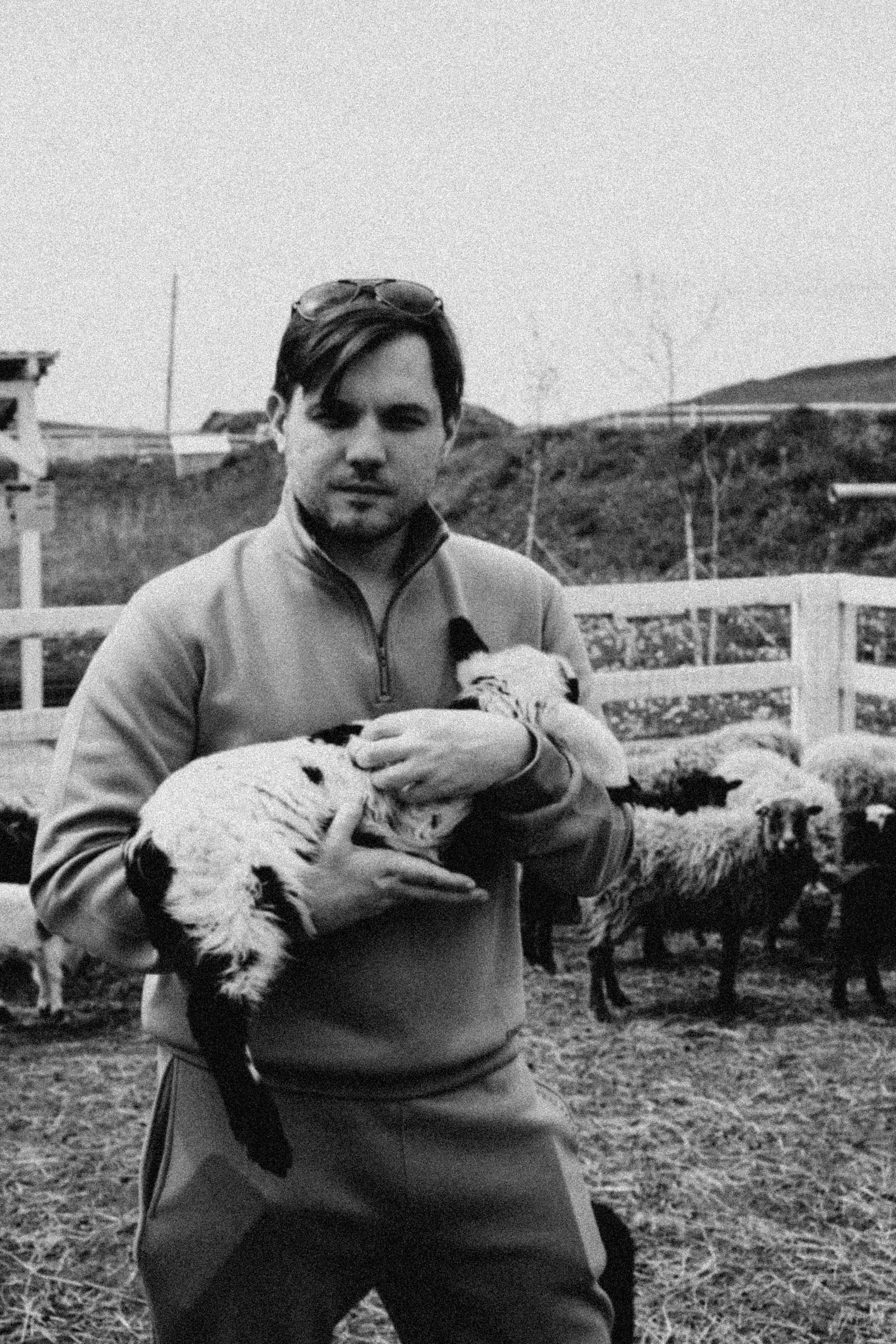 Ферма Альпак. Профессиональный фотограф, Санкт-Петербург — Виктория Богомолова