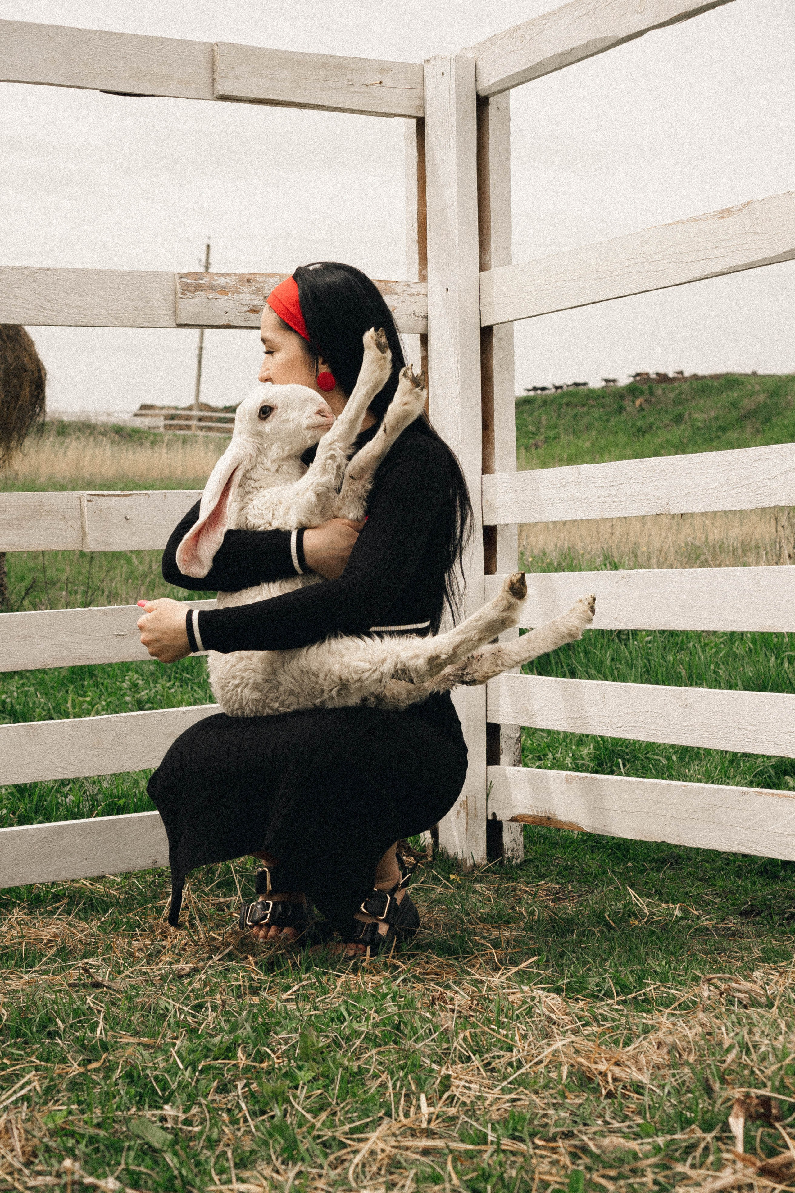 Ферма Альпак. Профессиональный фотограф, Санкт-Петербург — Виктория Богомолова