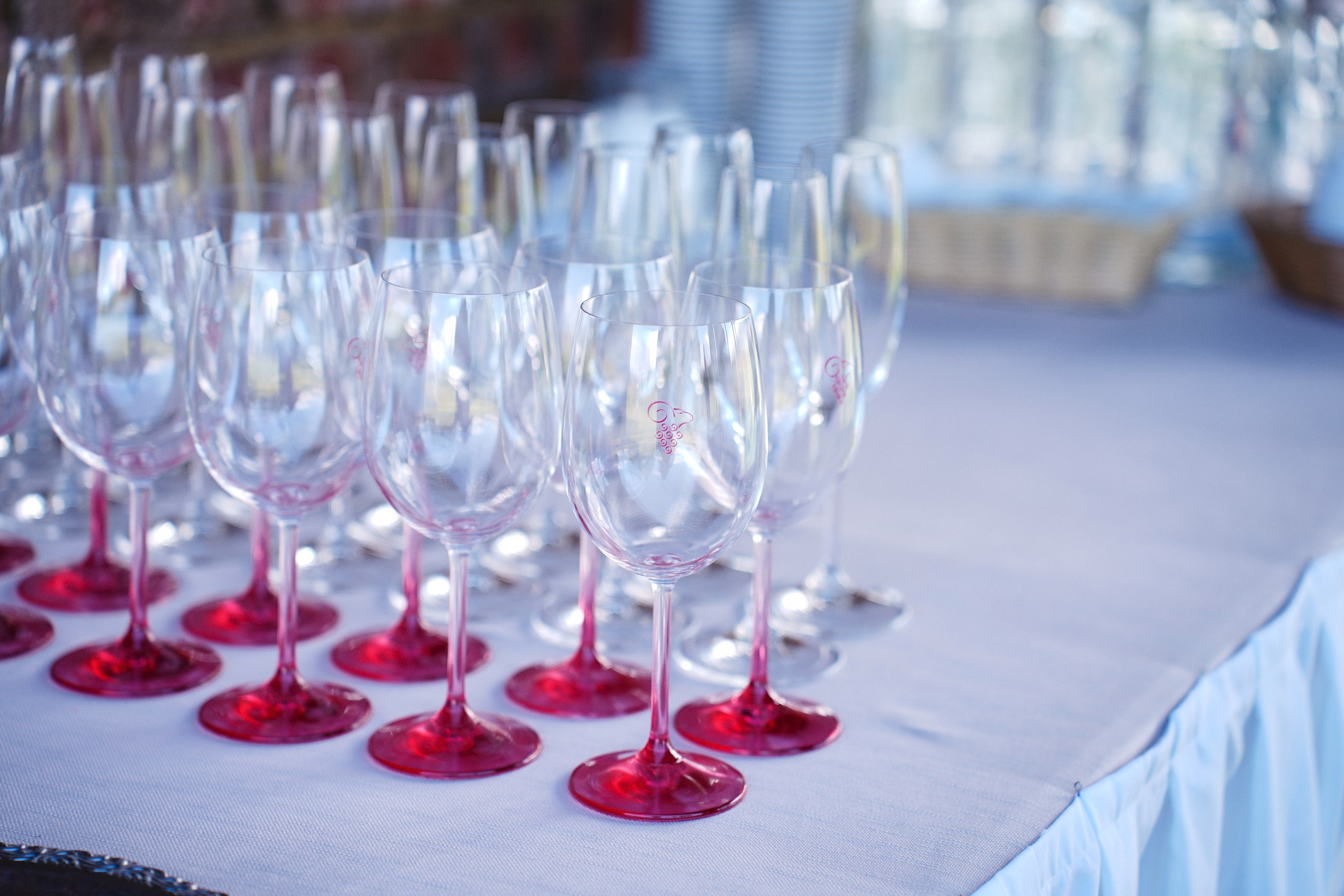 Гольф Пестово X OLIMBET. Фотограф