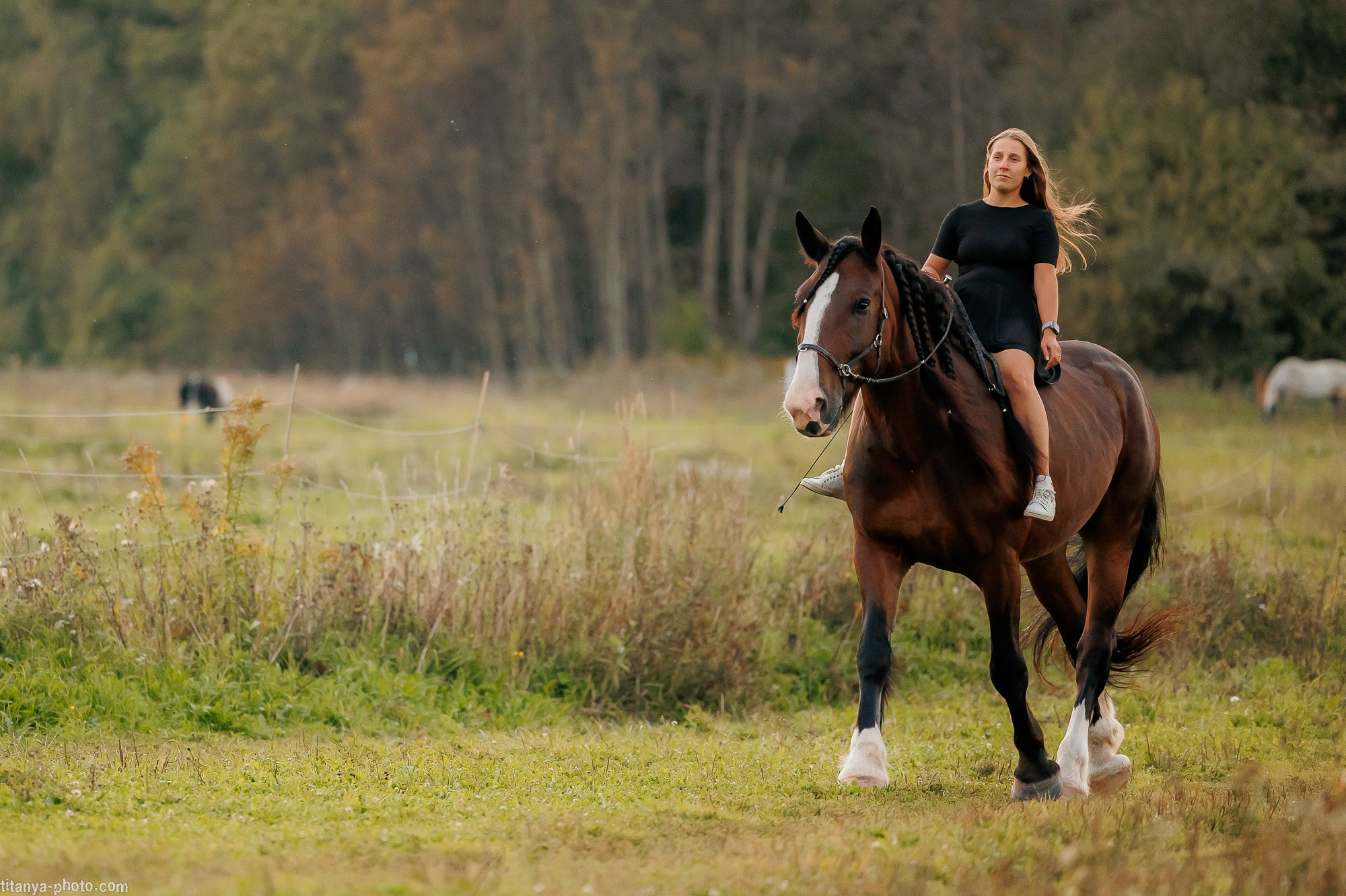 Закатная семейная фотосессия: про Настю и её дружную семью. Фотограф собак, фотограф-анималист Аня Титова (Titanya). Москва