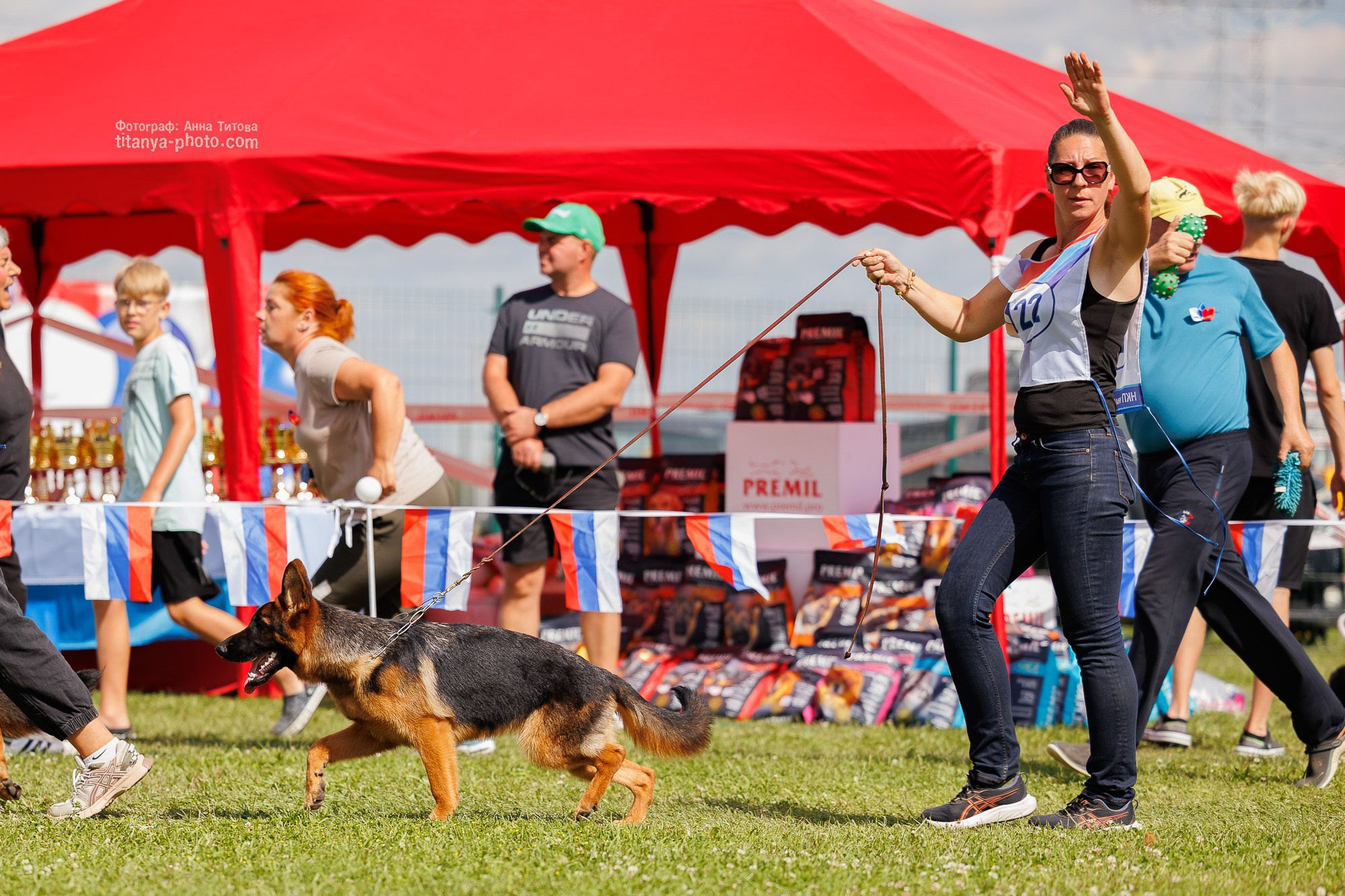 Немецкие овчарки: фото из рингов и вне ринга, мутпроба (фотографии с выставок). Фотограф собак, фотограф-анималист Аня Титова (Titanya). Москва