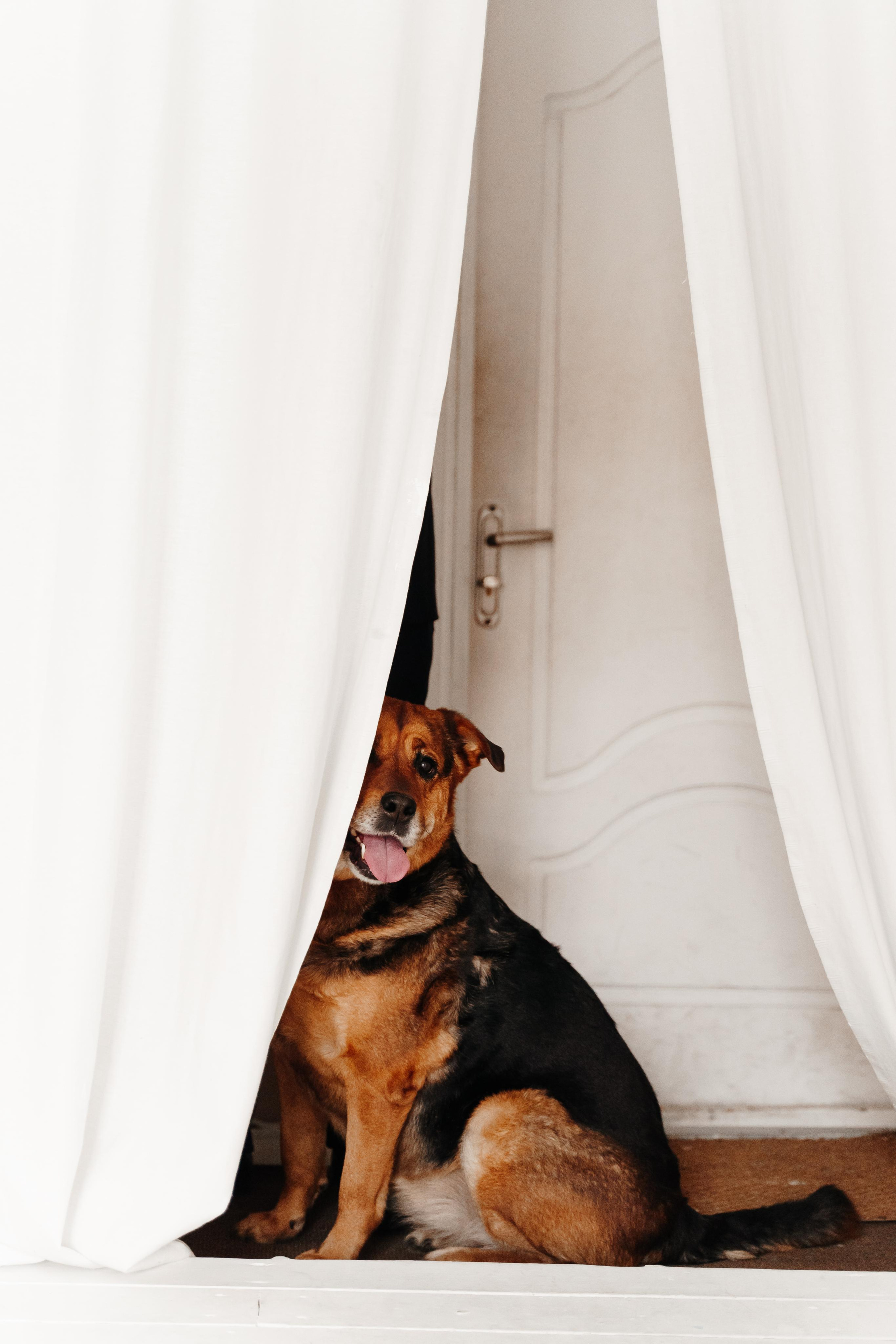 Стас, Катя и Марта. Фотограф Олеся Мочалова. Москва. Нижний Новгород