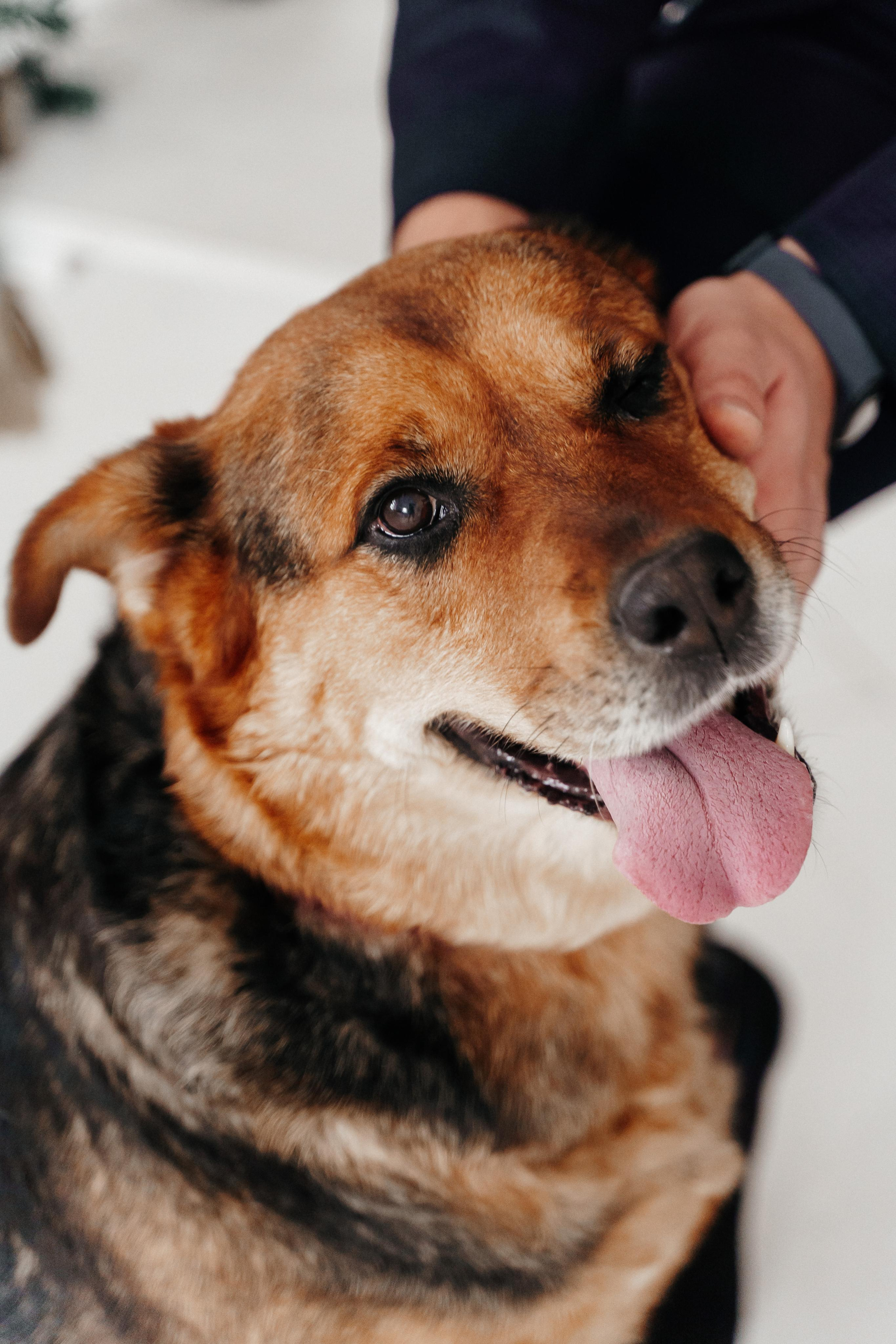 Стас, Катя и Марта. Фотограф Олеся Мочалова. Москва. Нижний Новгород