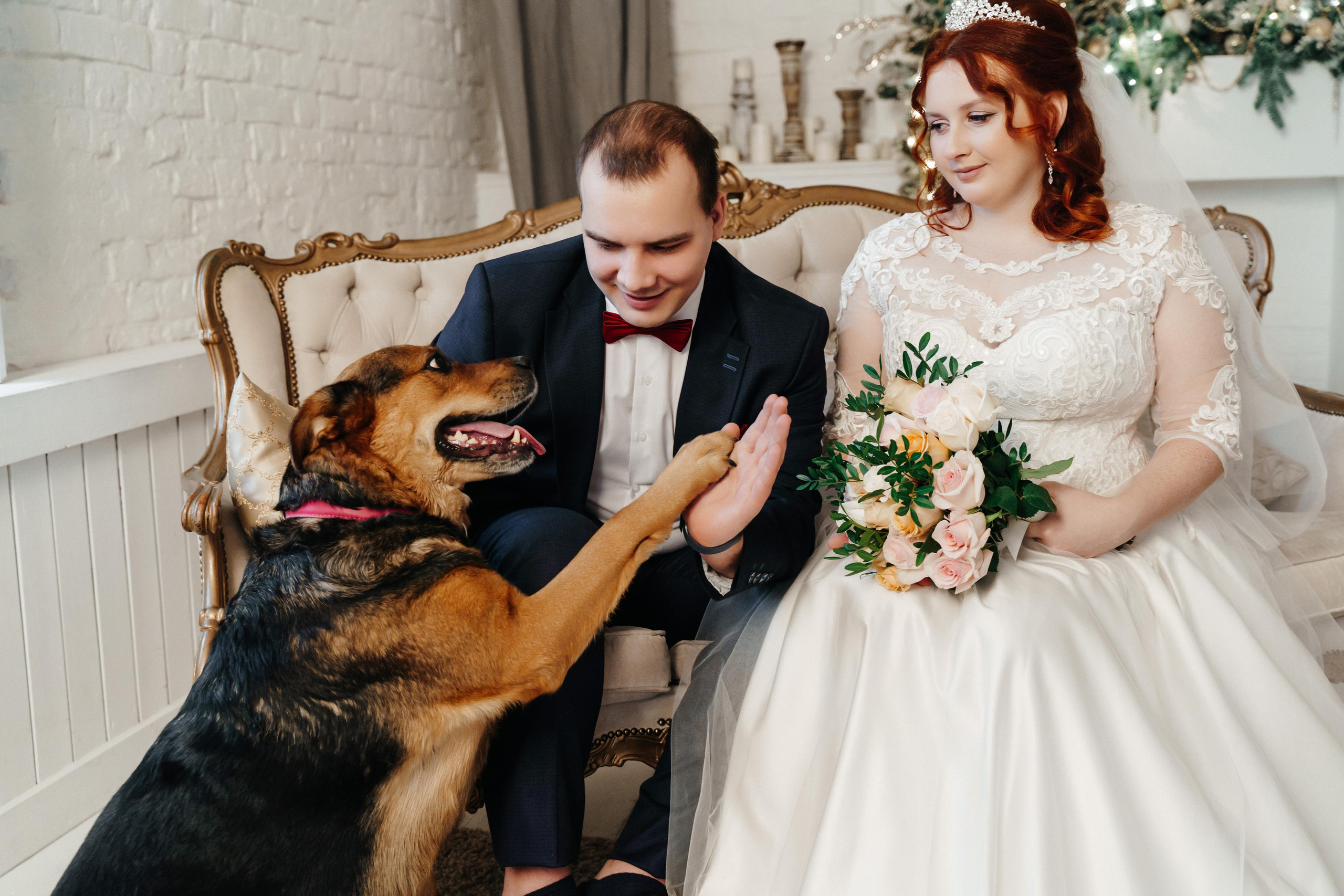 Стас, Катя и Марта. Фотограф Олеся Мочалова. Москва. Нижний Новгород