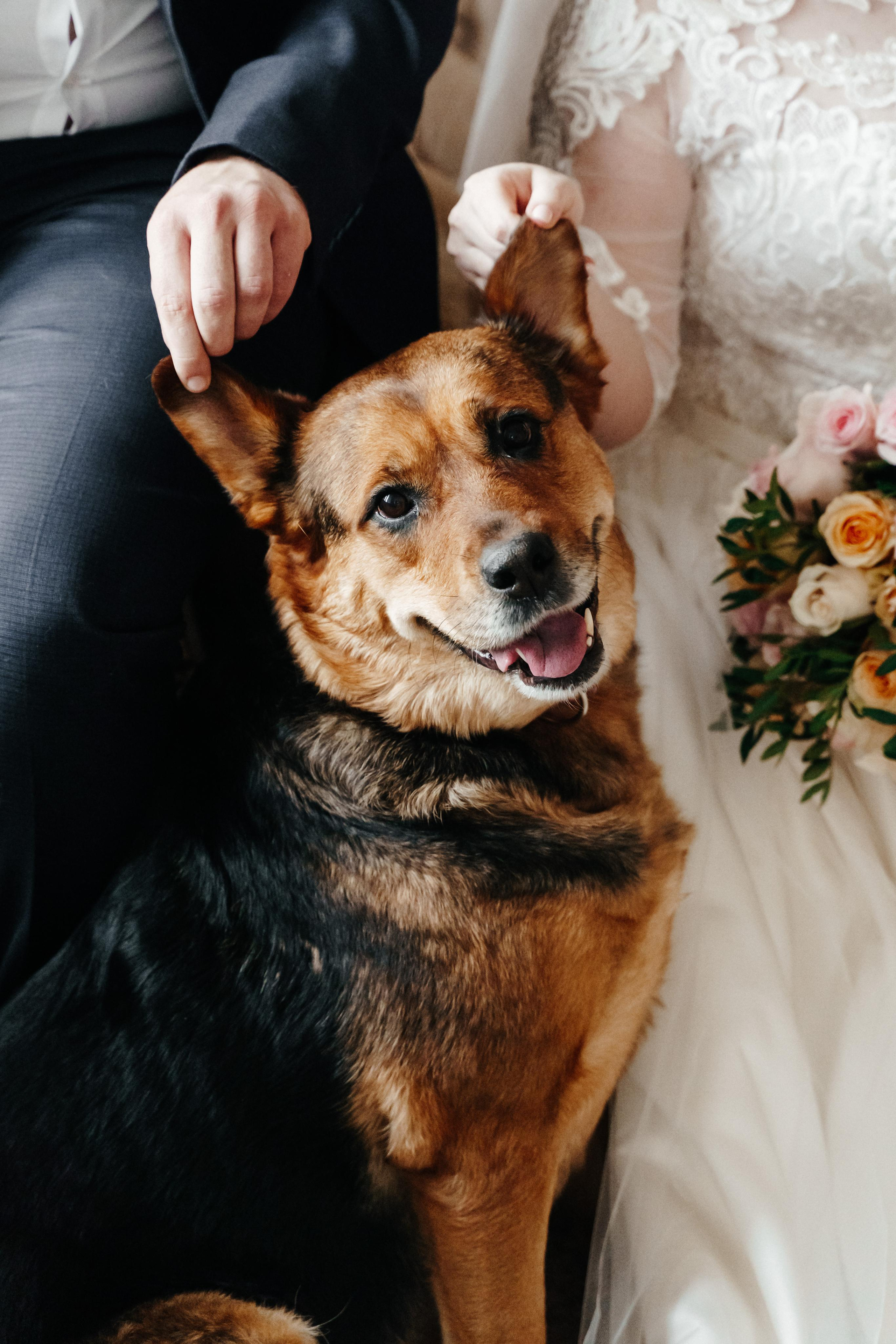 Стас, Катя и Марта. Фотограф Олеся Мочалова. Москва. Нижний Новгород