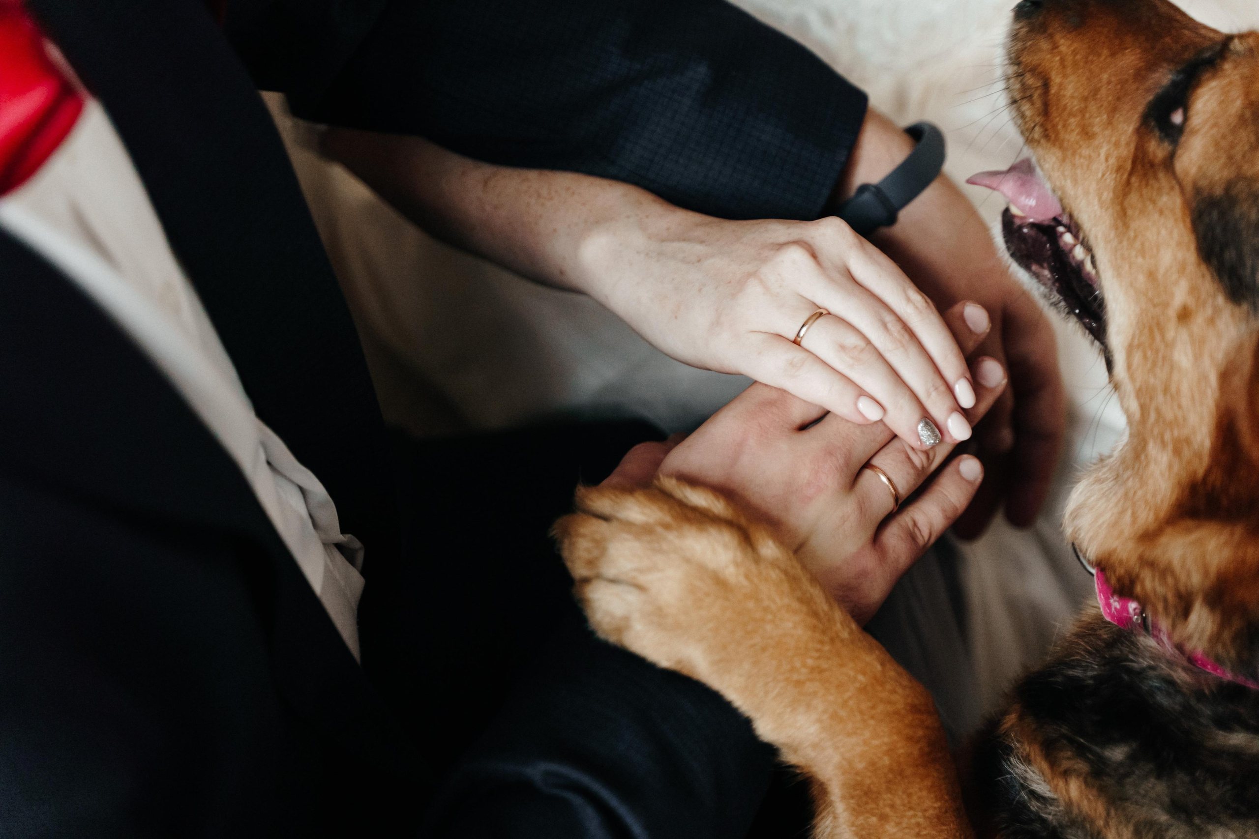 Стас, Катя и Марта. Фотограф Олеся Мочалова. Москва. Нижний Новгород