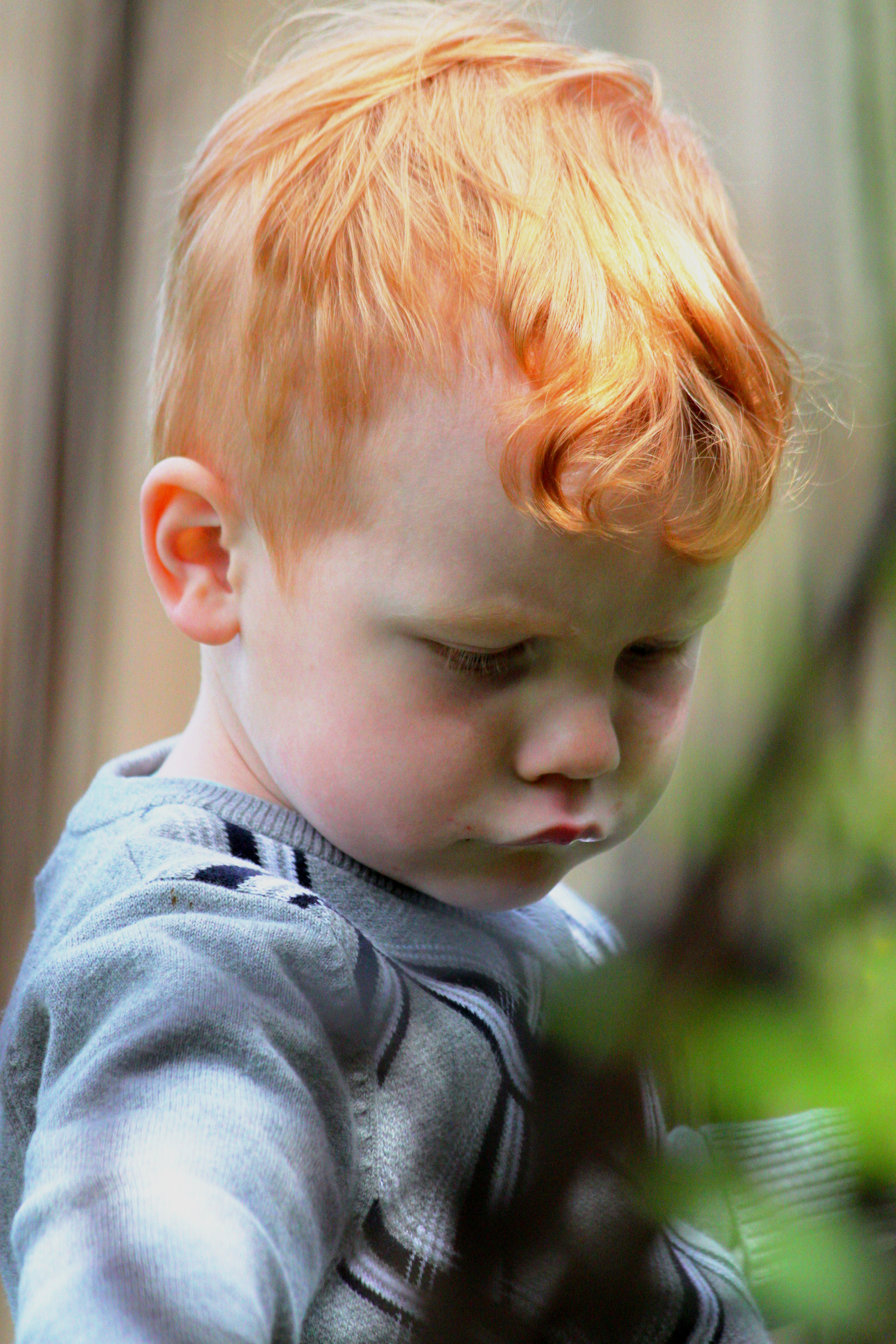 Фотограф в Гатчине Анастасия Солодкая