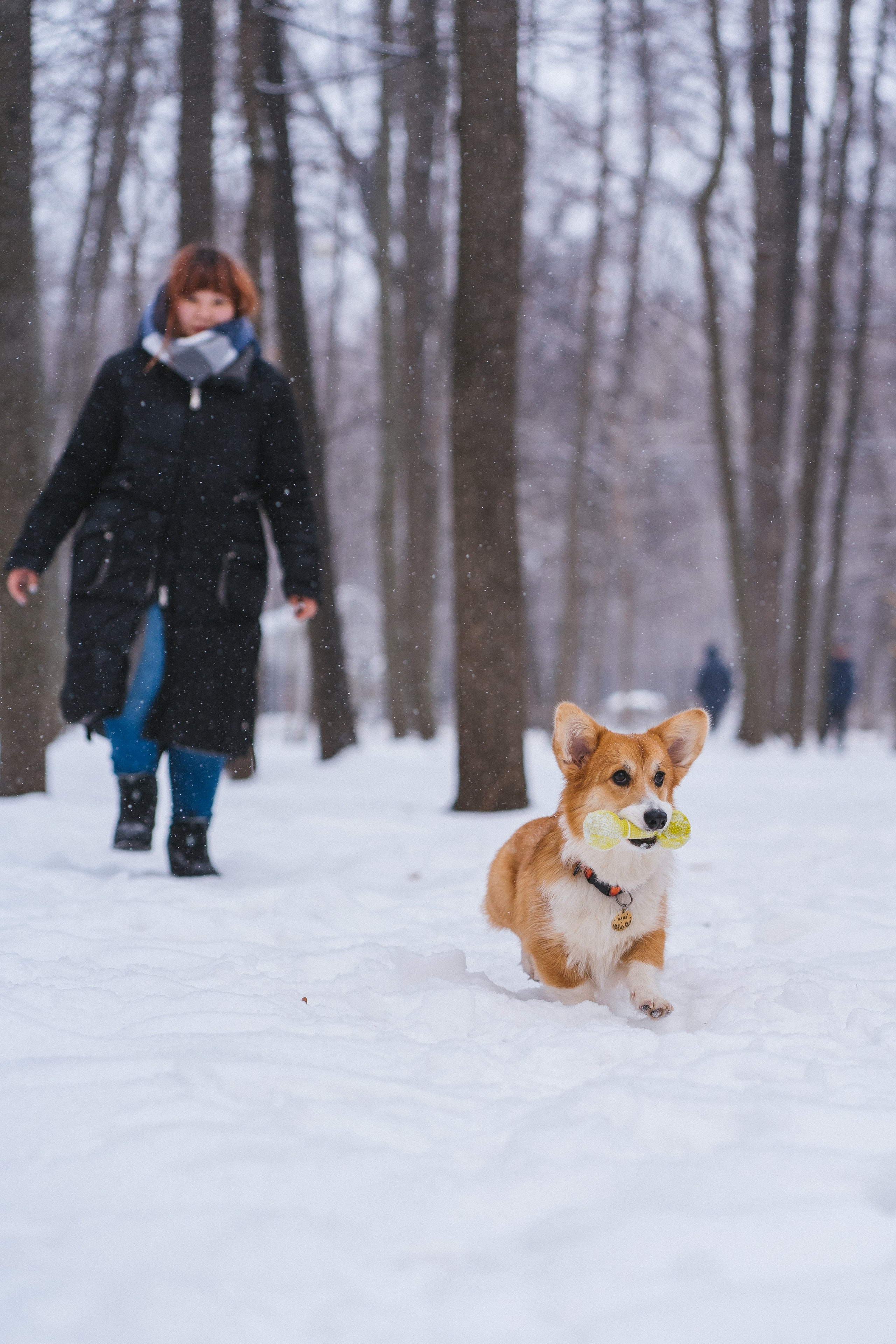 Агата и Лайк. Свадебный фотограф в Москве Анна Полушина
