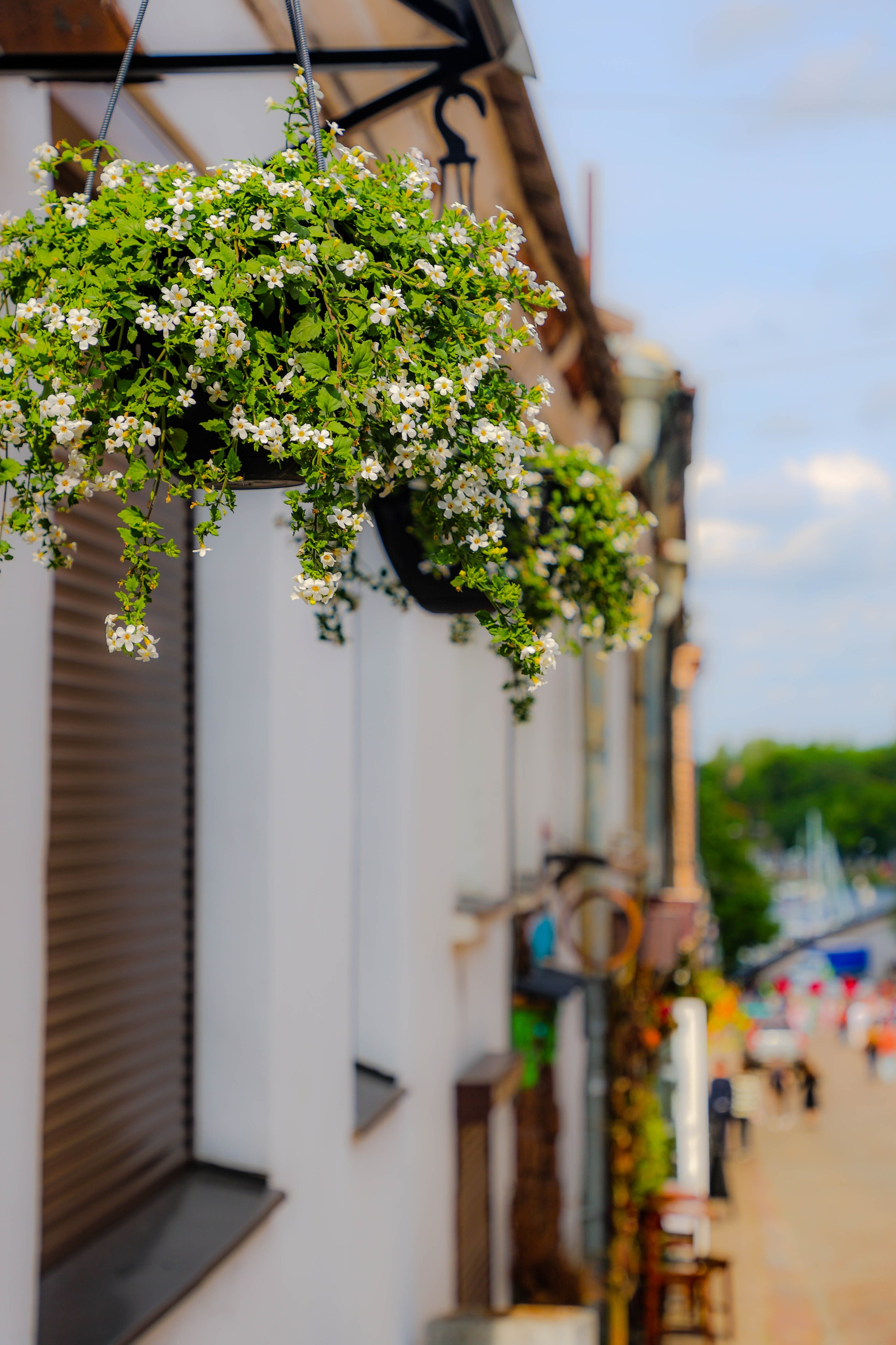 СТРИТ. АЛЕКСЕЙ КОЛМАКОВ. Фотограф. Москва и Московская область