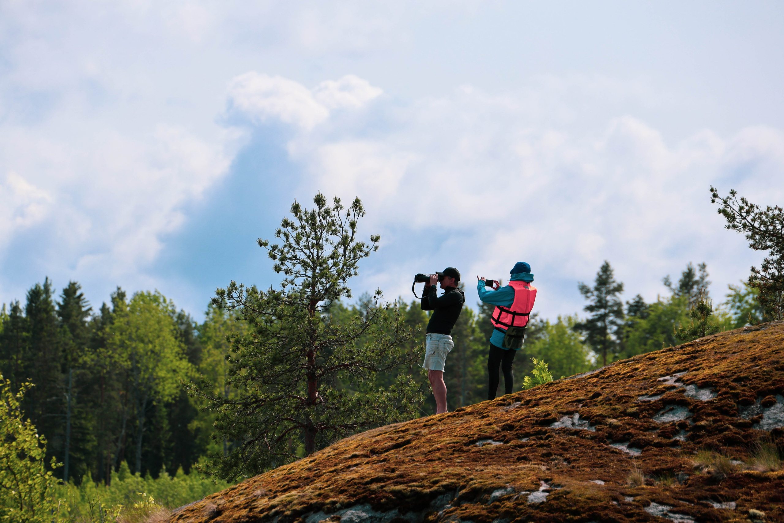 ПЛАНЕТА ЗЕМЛЯ (пейзаж). АЛЕКСЕЙ КОЛМАКОВ. Фотограф. Москва и Московская область