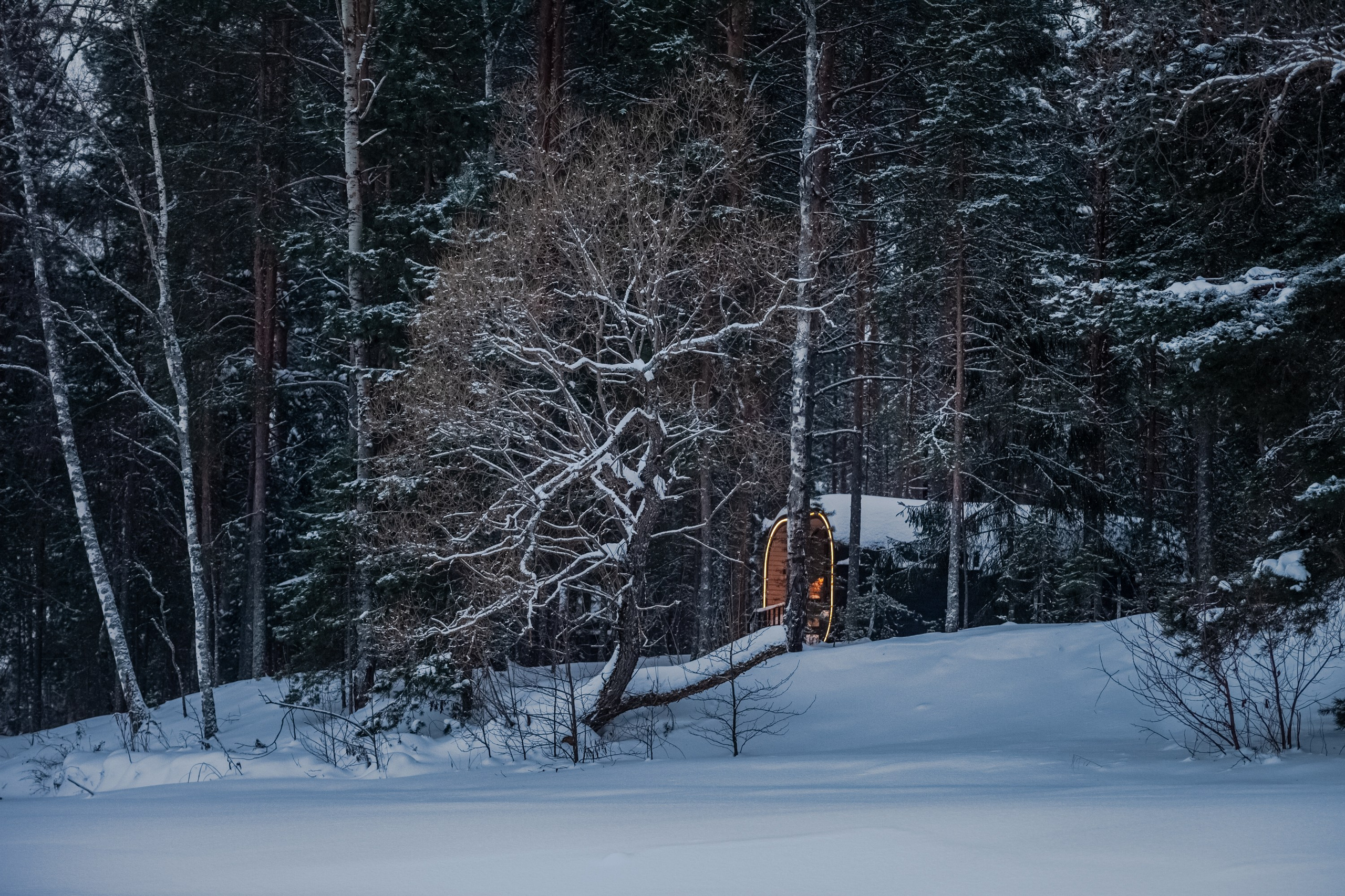Выключить шум и услышать тишину, утихомирить свои мысли и приземлиться. В фокусе- человек и его состояние!. Туманов Виталий — фотограф Москва