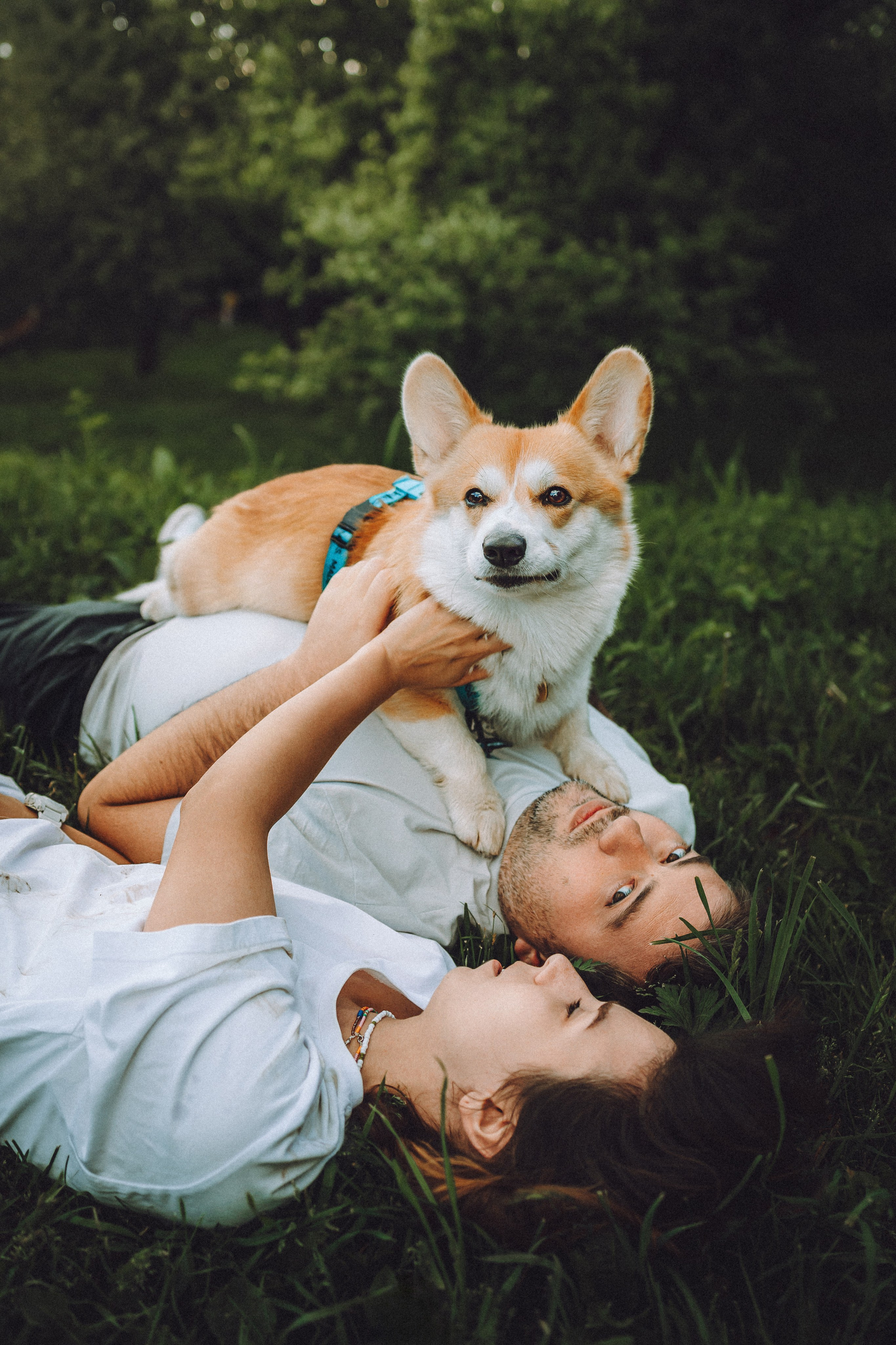 Вирджик и его семья