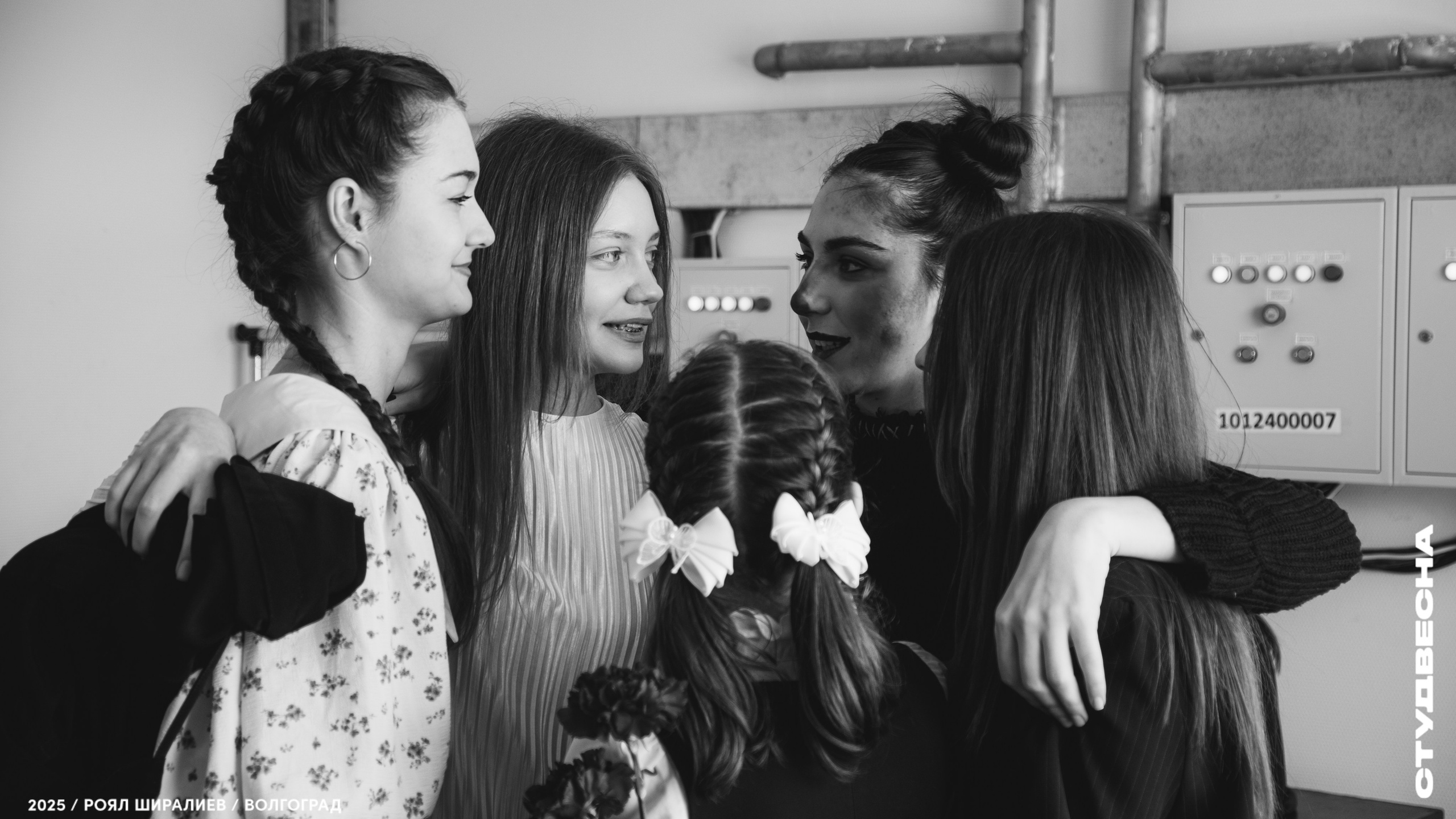 Студенческая весна | Регион | 2025. Royal Shirali