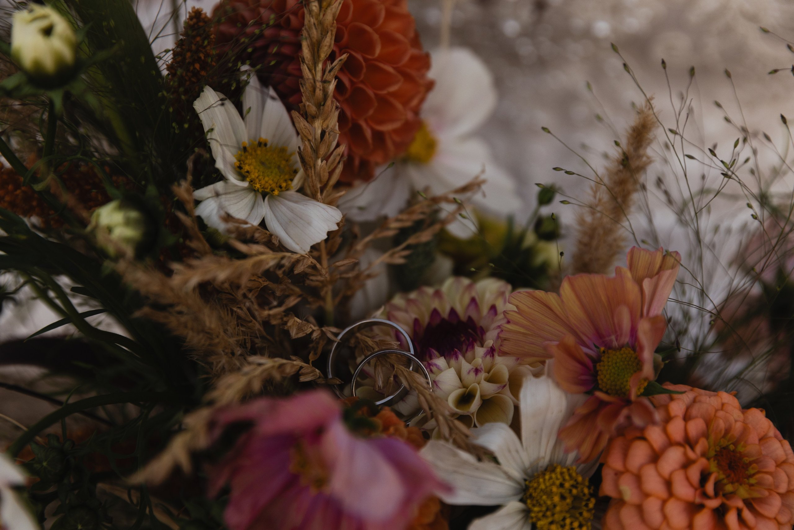 Сергей и Наталья. Женский и семейный фотограф в Туле Катя Вуколова
