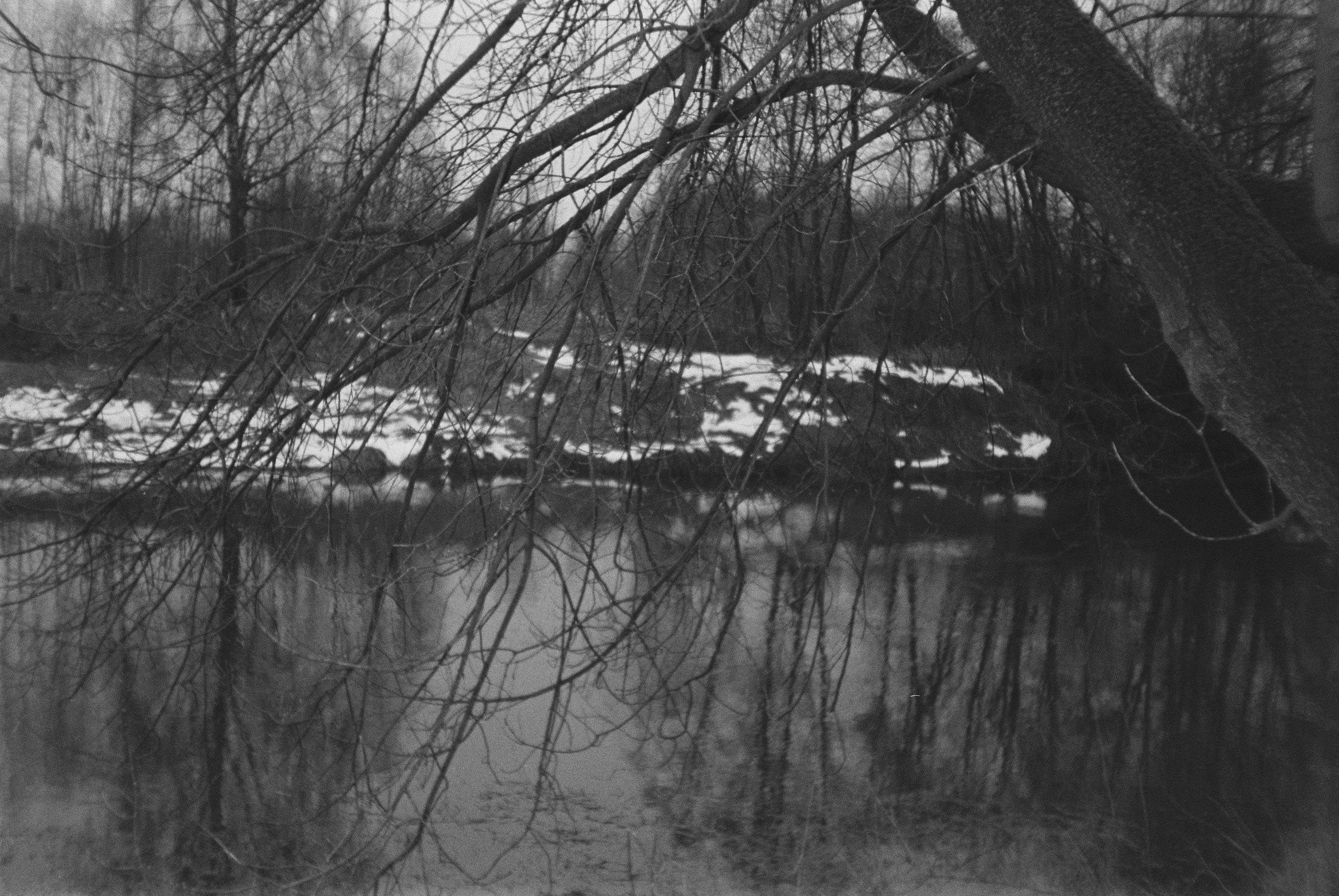 Портфолио. Фотограф Москва | Anastasia Permyakova