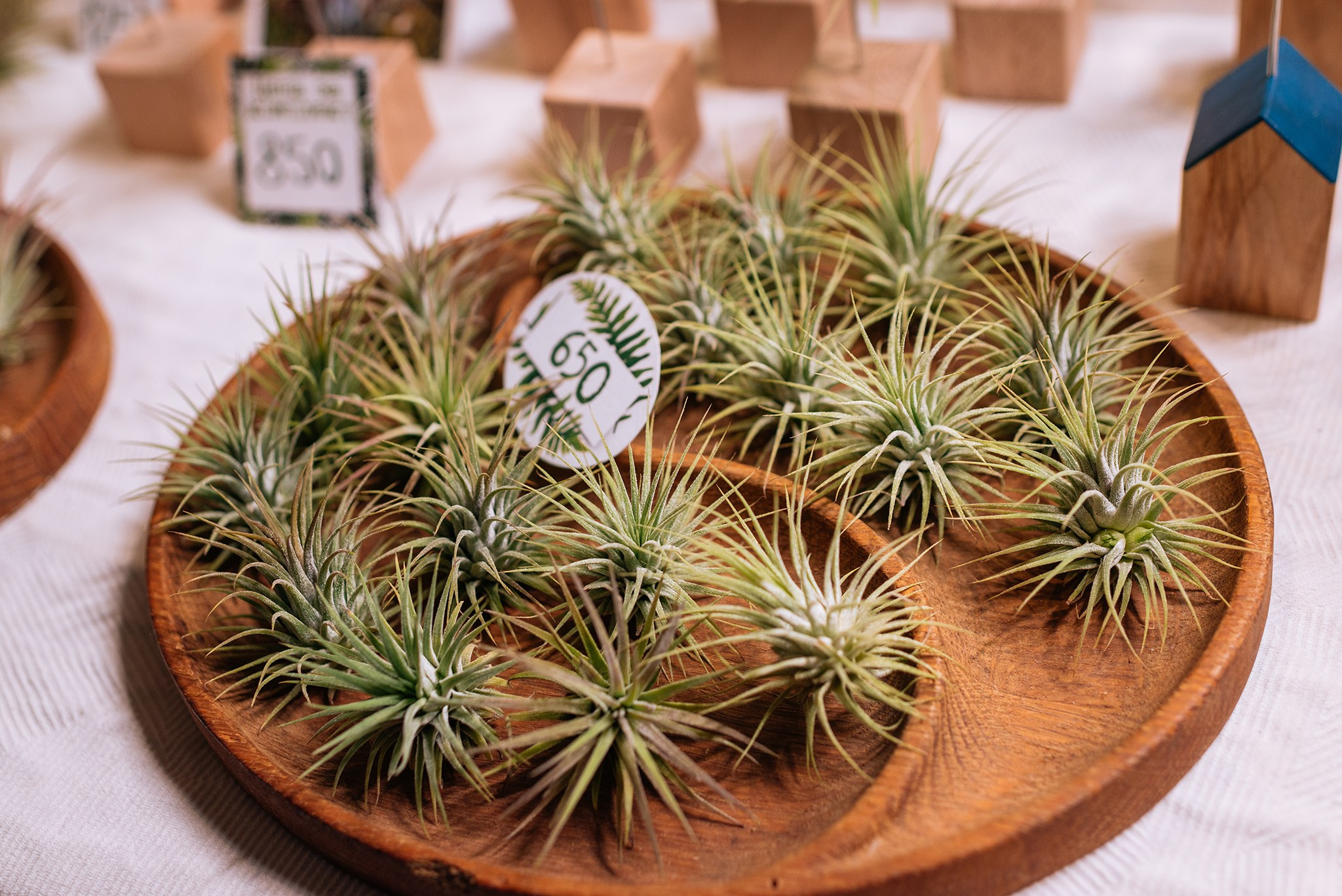 ВАУ Фест. Март 26. Репортажный фотограф в Санкт-Петербурге Анастасия Клёпова