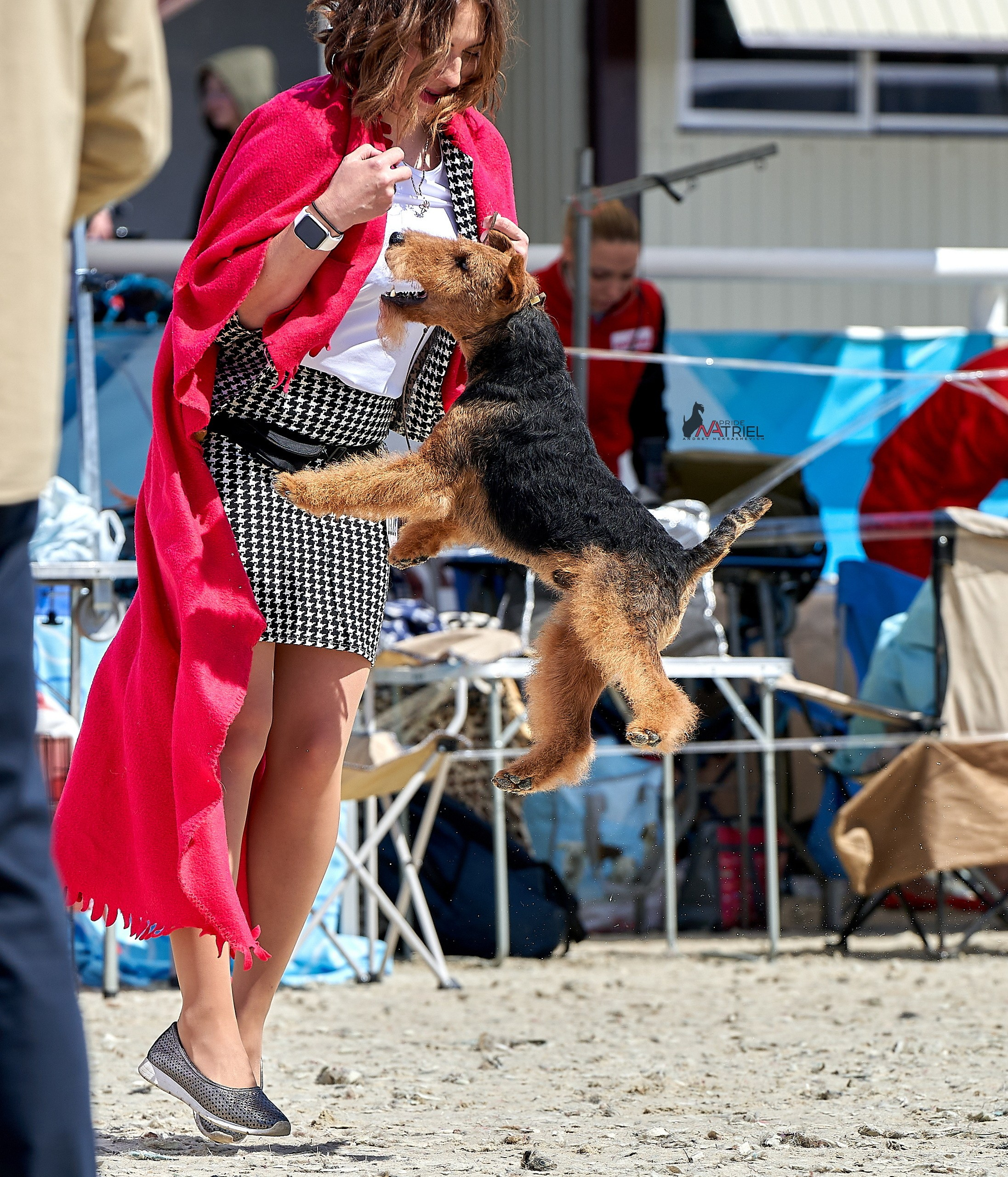 Работа в рингах — галерея NATRIEL